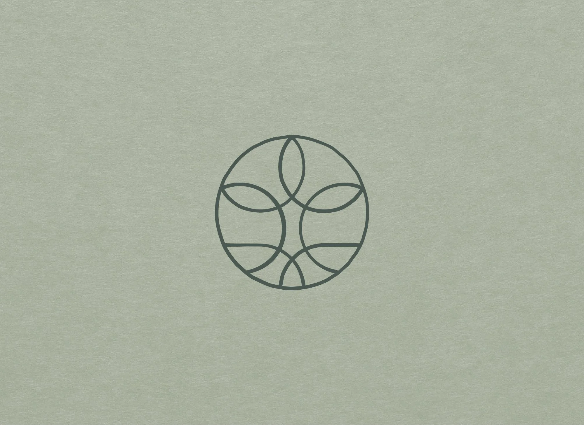 Asset 9@2000x-100.jpg