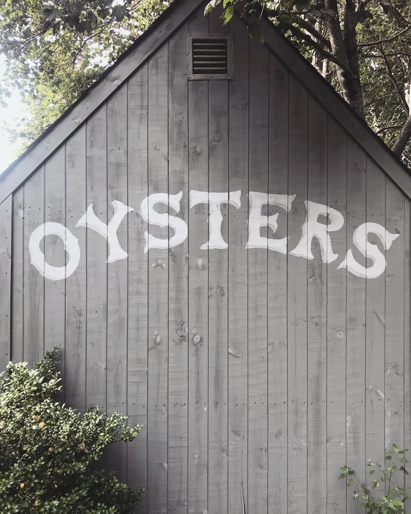 The world is our oyster(s) 🦪 🦪🦪