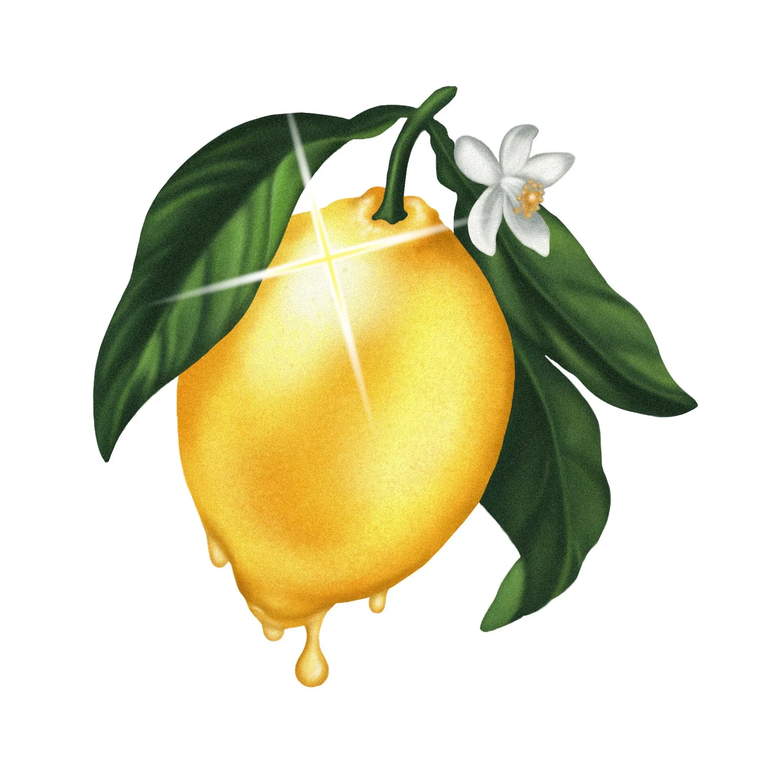 LEMON R3.jpg
