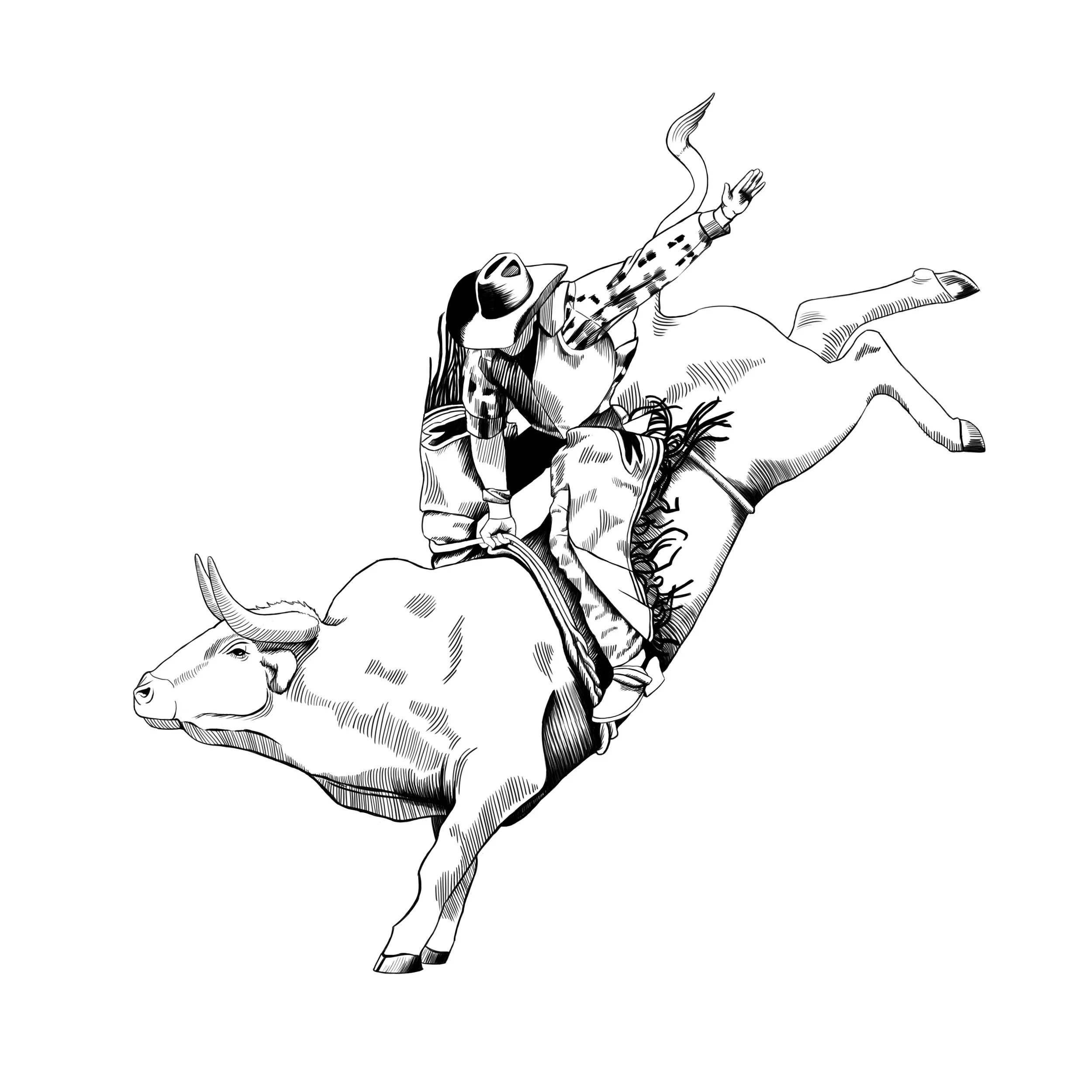 BULL & RIDER 2.jpg