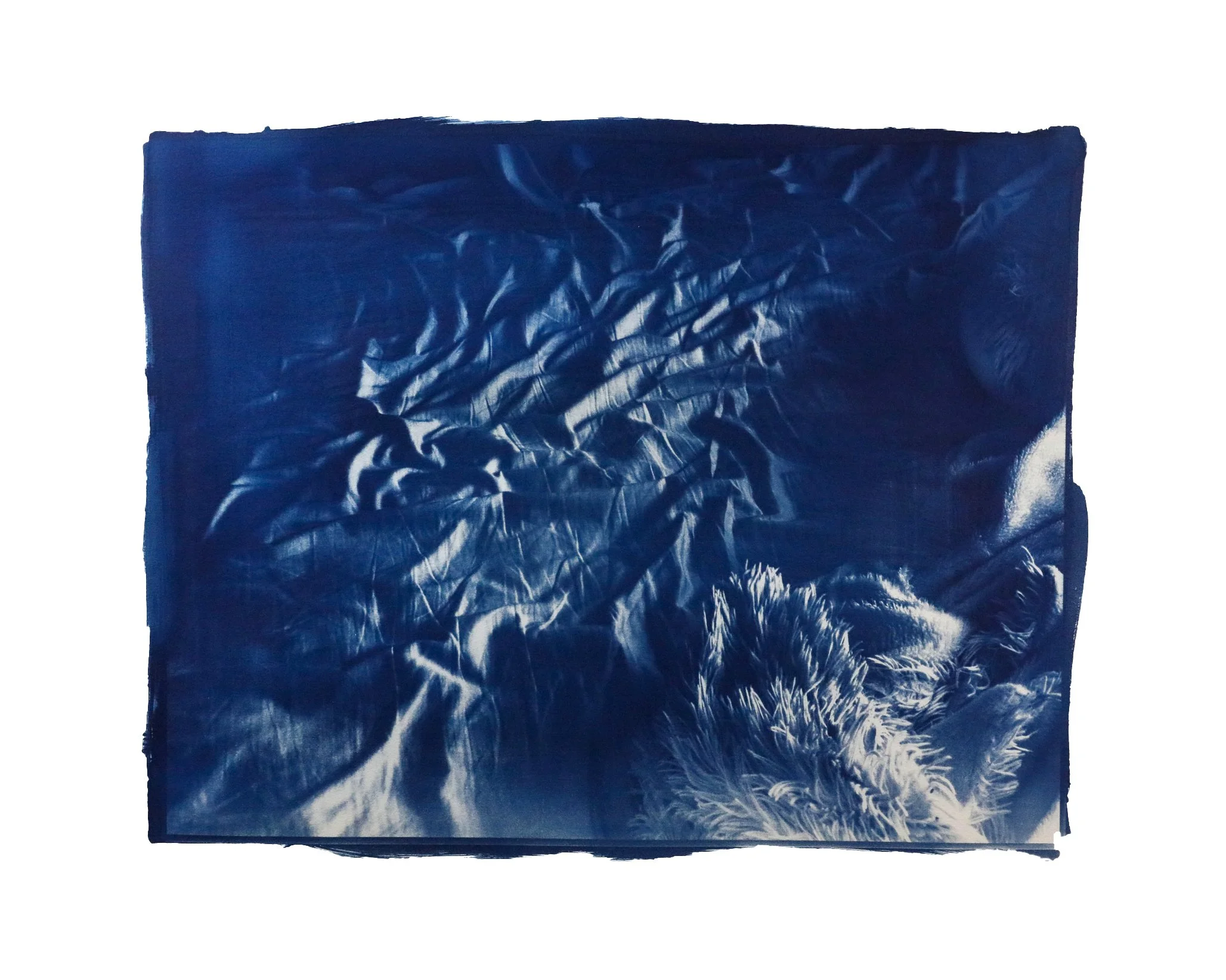 “attraction” (coral bottom).jpg