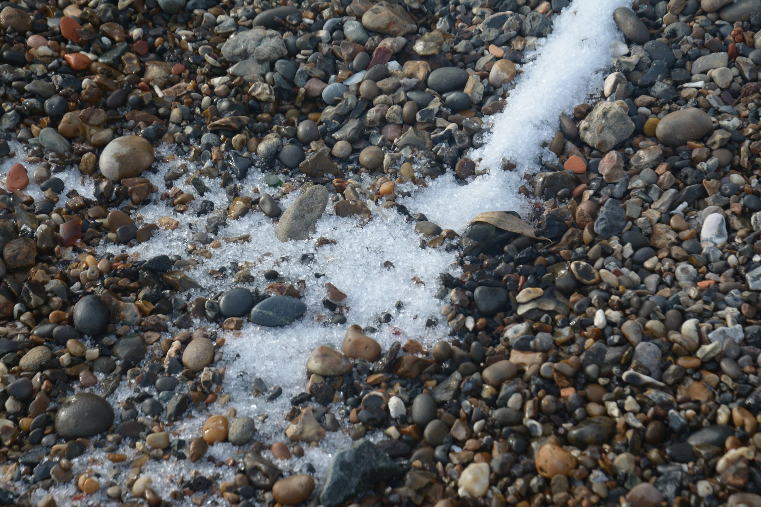 DSC_2218.JPG