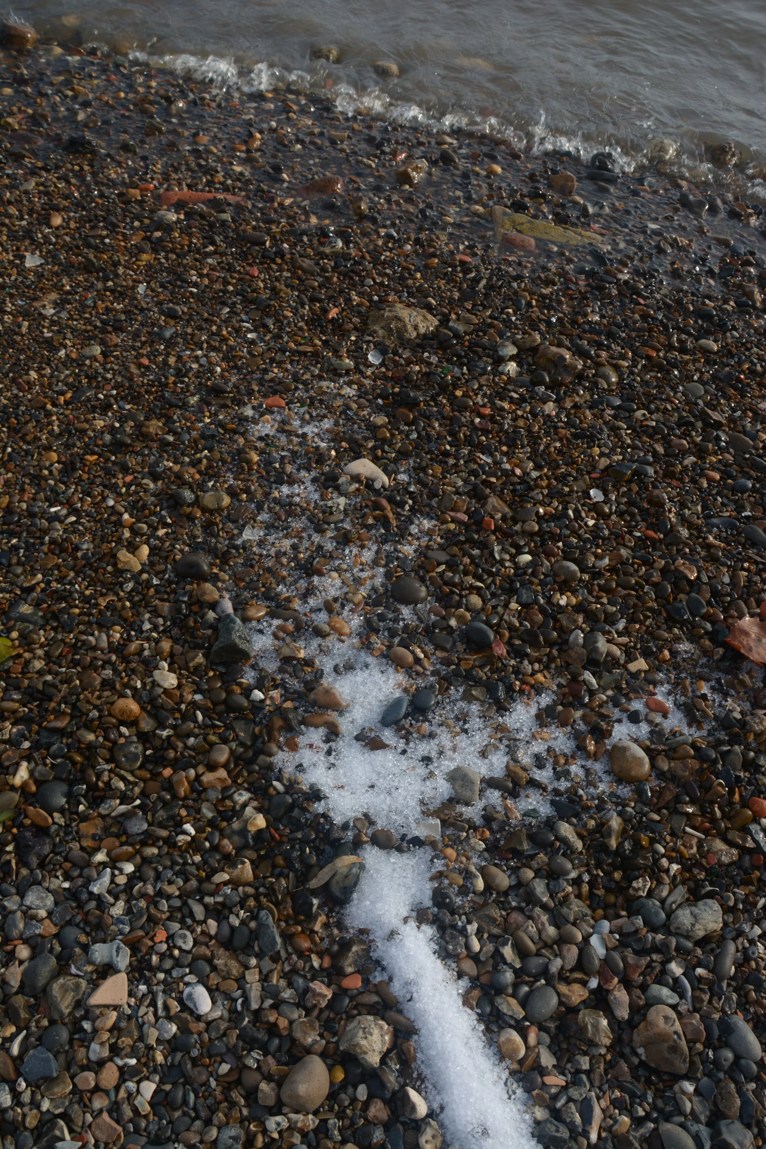 DSC_2202.JPG