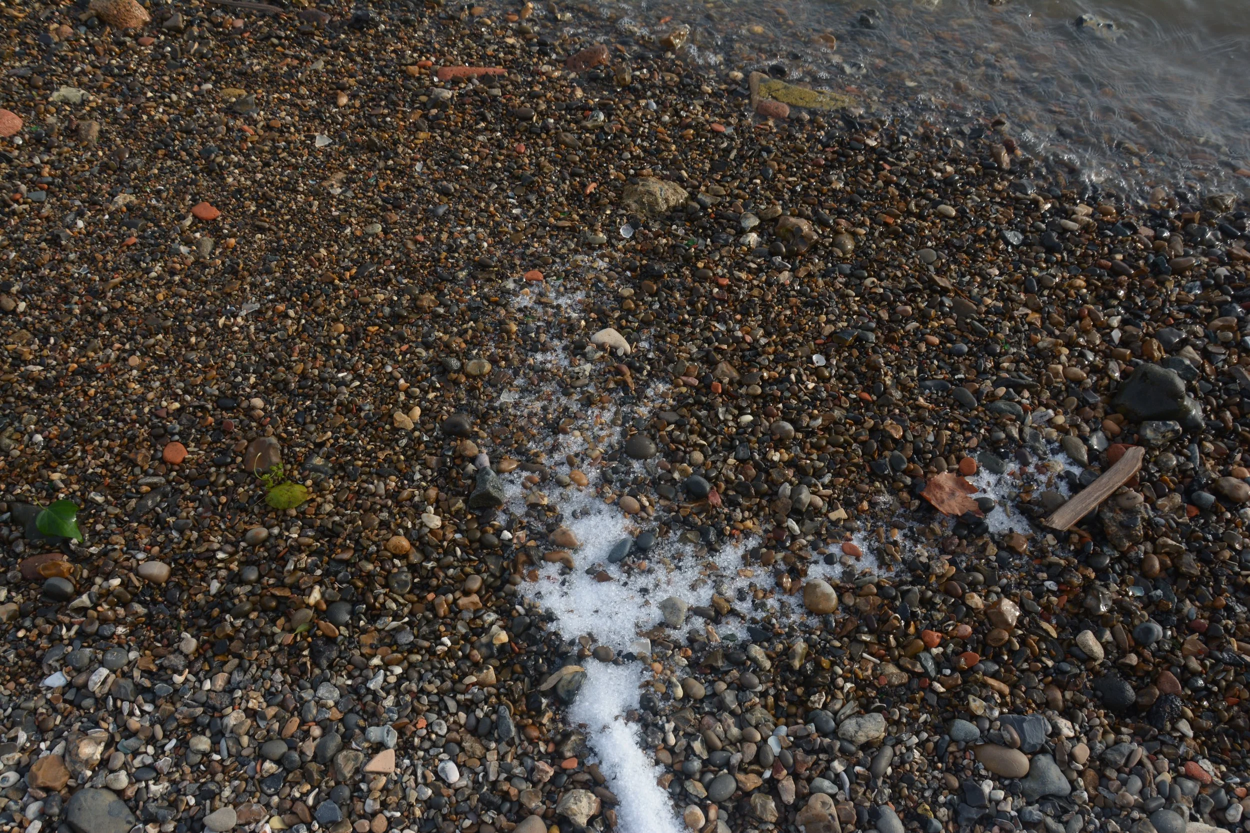 DSC_2205.JPG