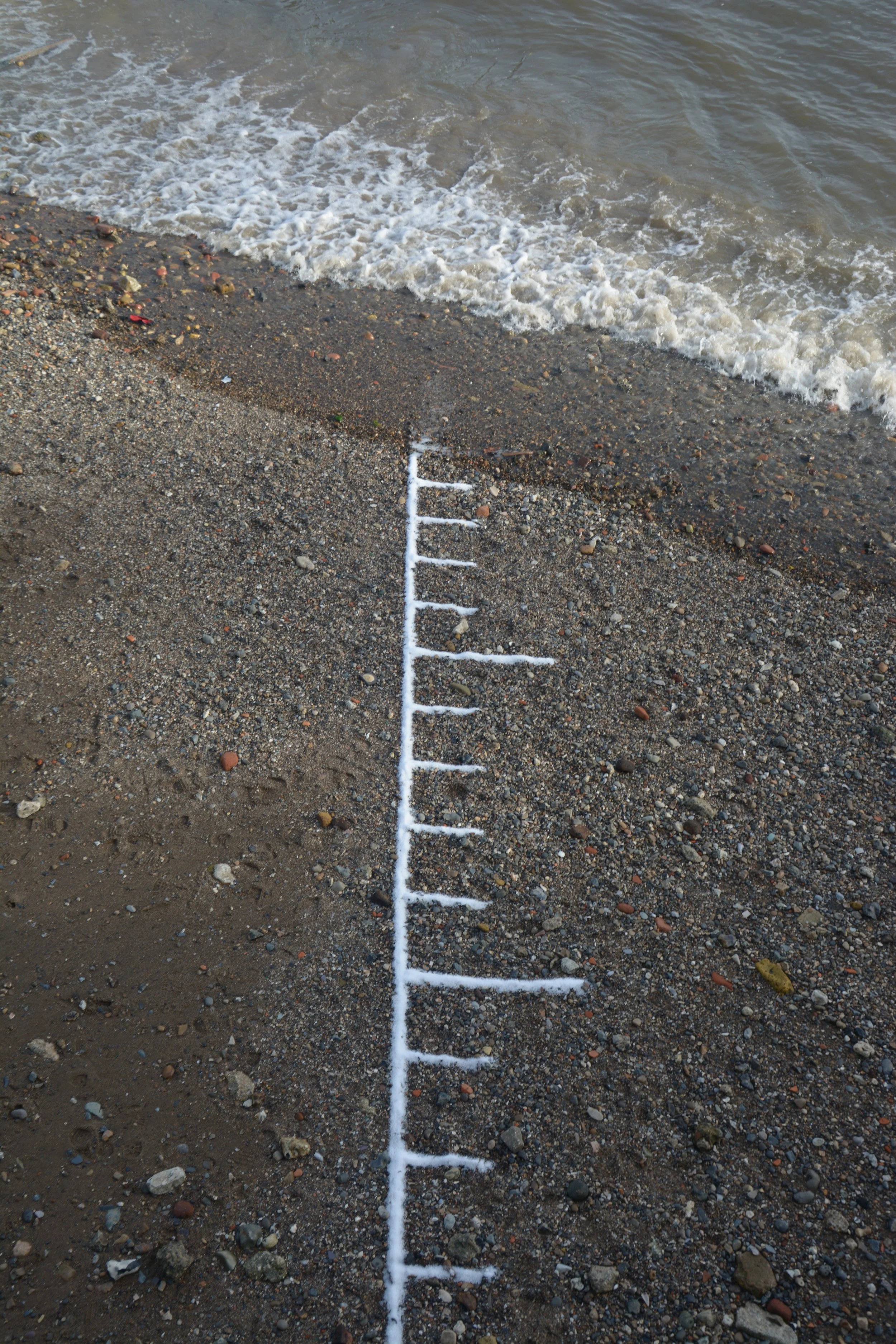 DSC_2175.JPG