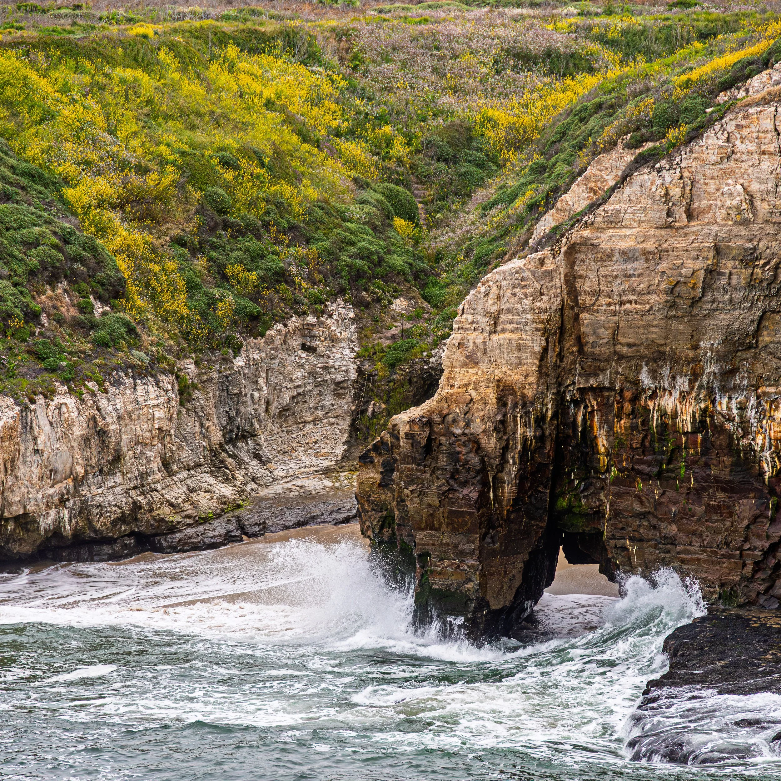 20250507_Bonny Doon Beach_027.jpg
