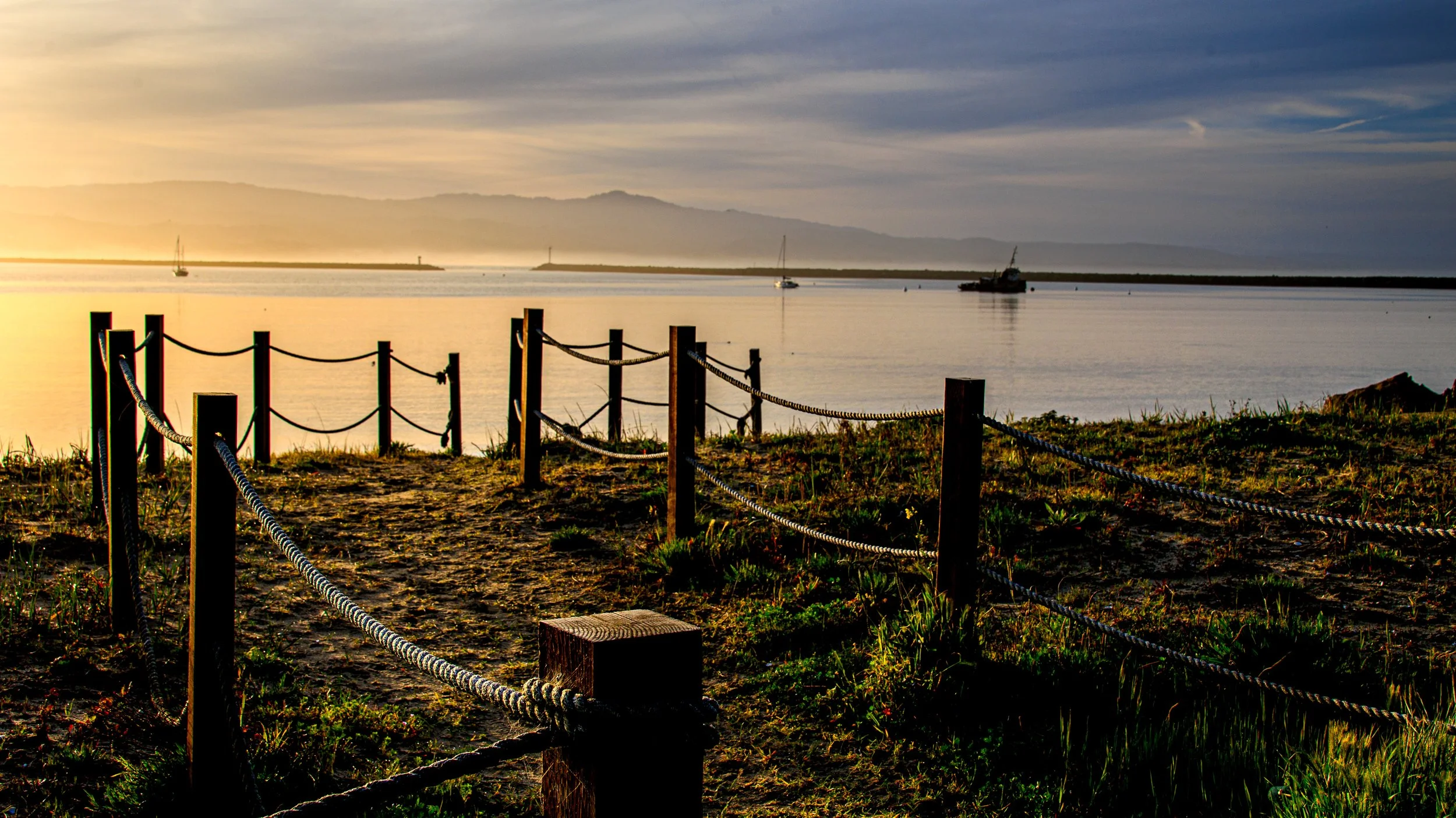 20250321_Pillar Point_005.jpg