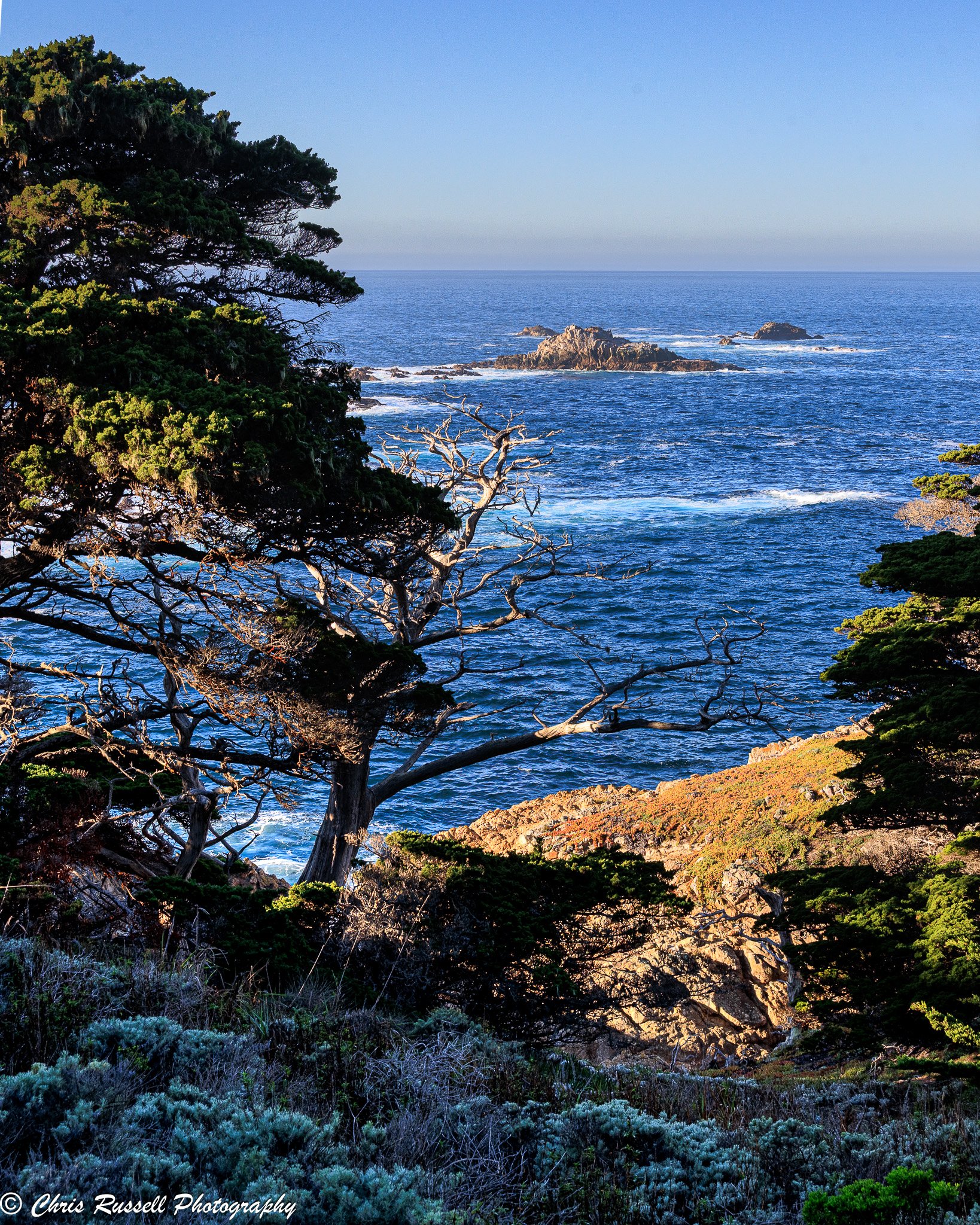 20260116_Point Lobos_003.jpg