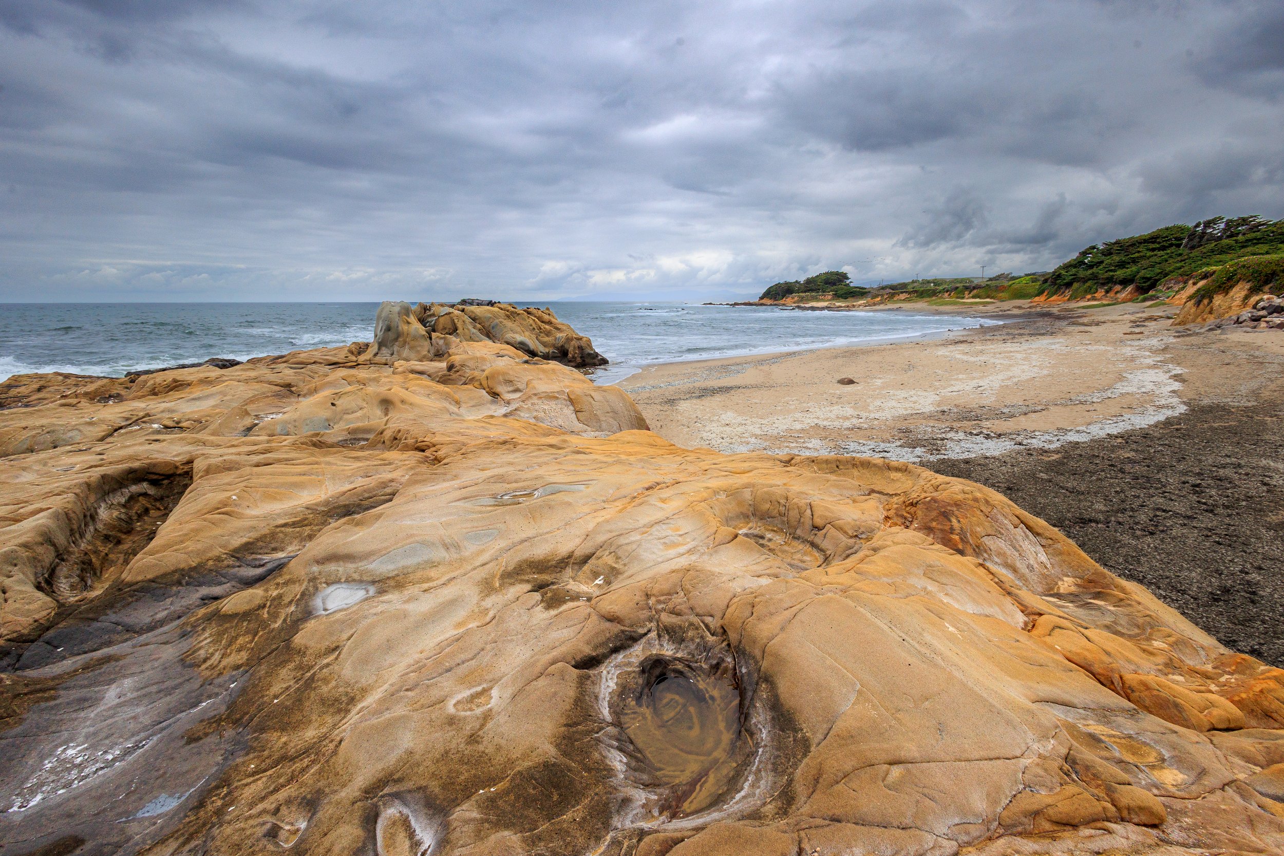 20250425_Pescadero Point Beach_038.jpg