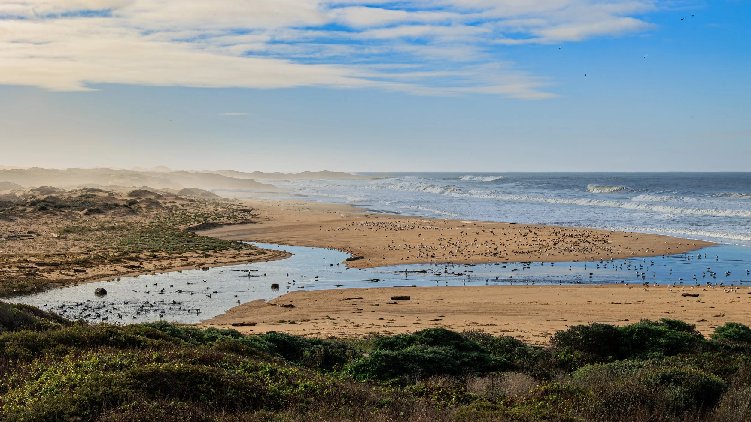 20251107_Gazos Creek Beach_001.jpg