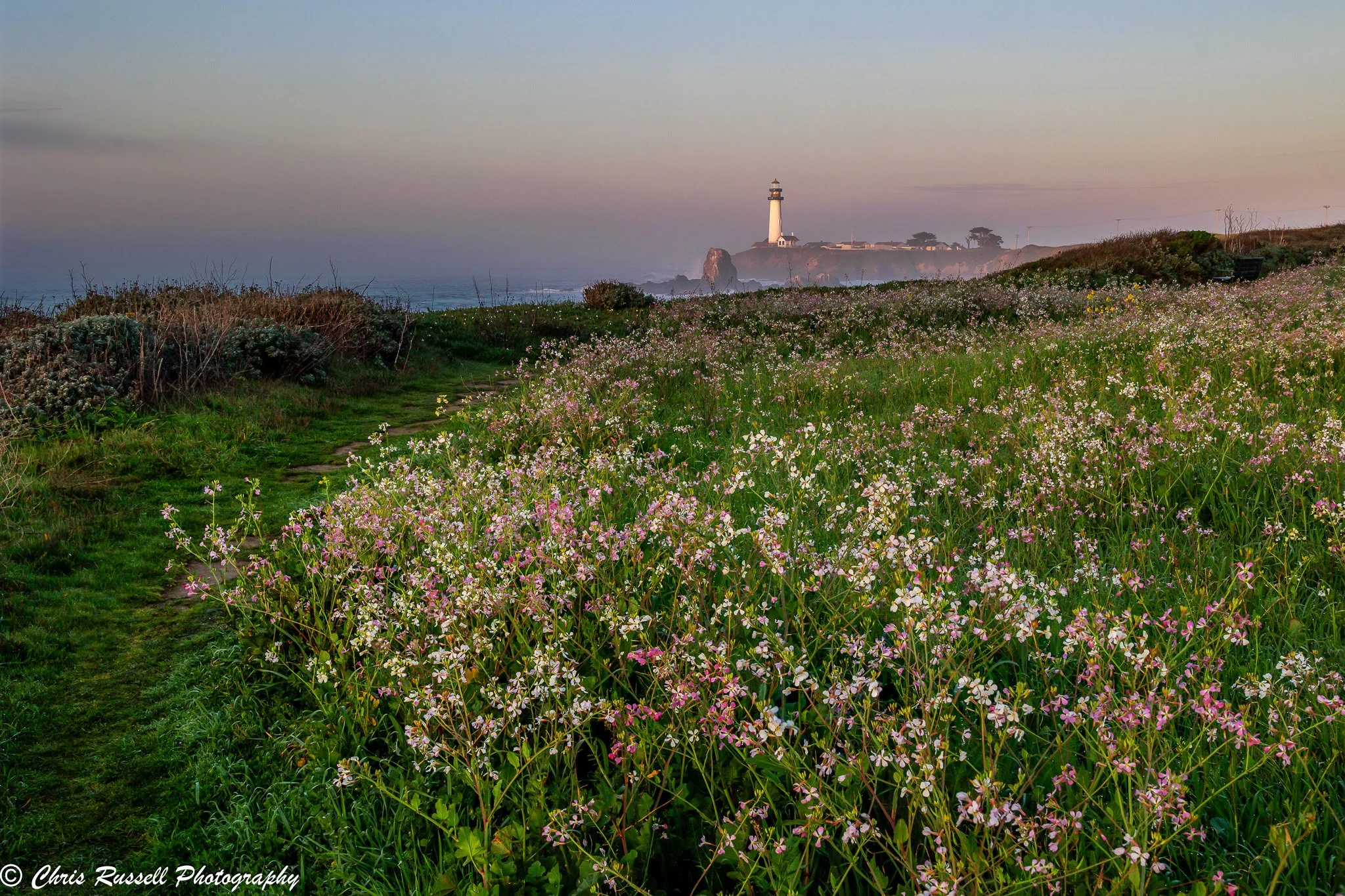 20260206_Pigeon Point_003.jpg