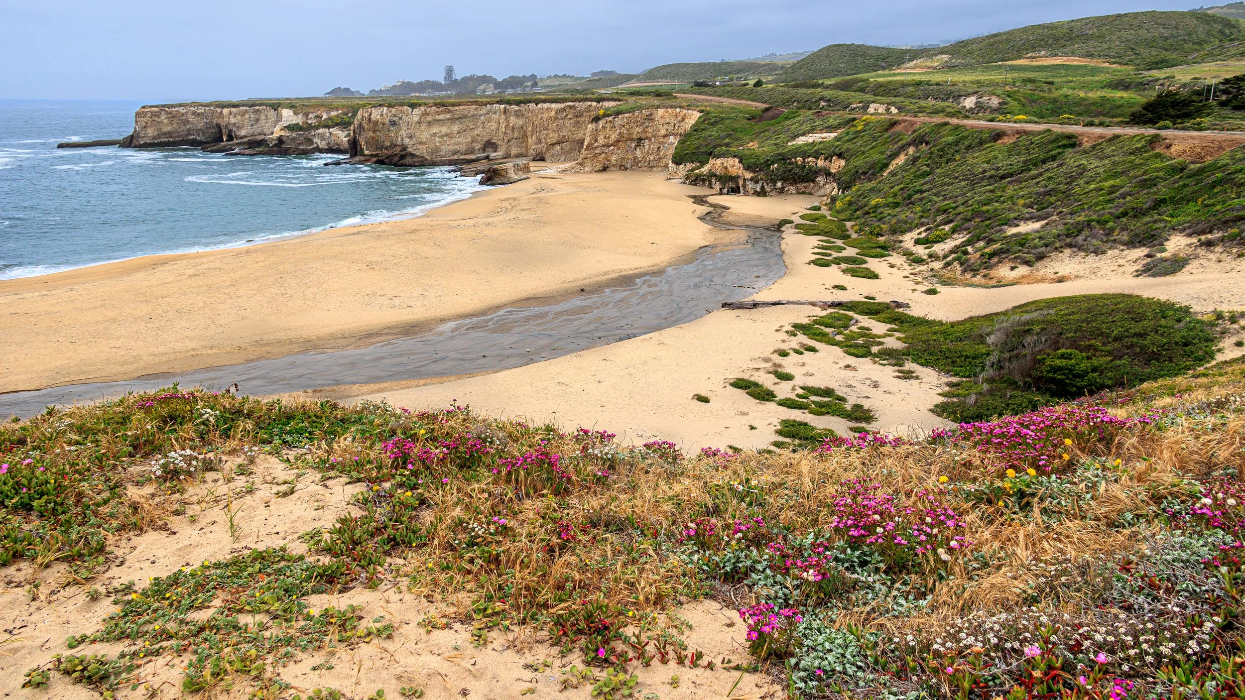 20250507_Bonny Doon Beach_005.jpg