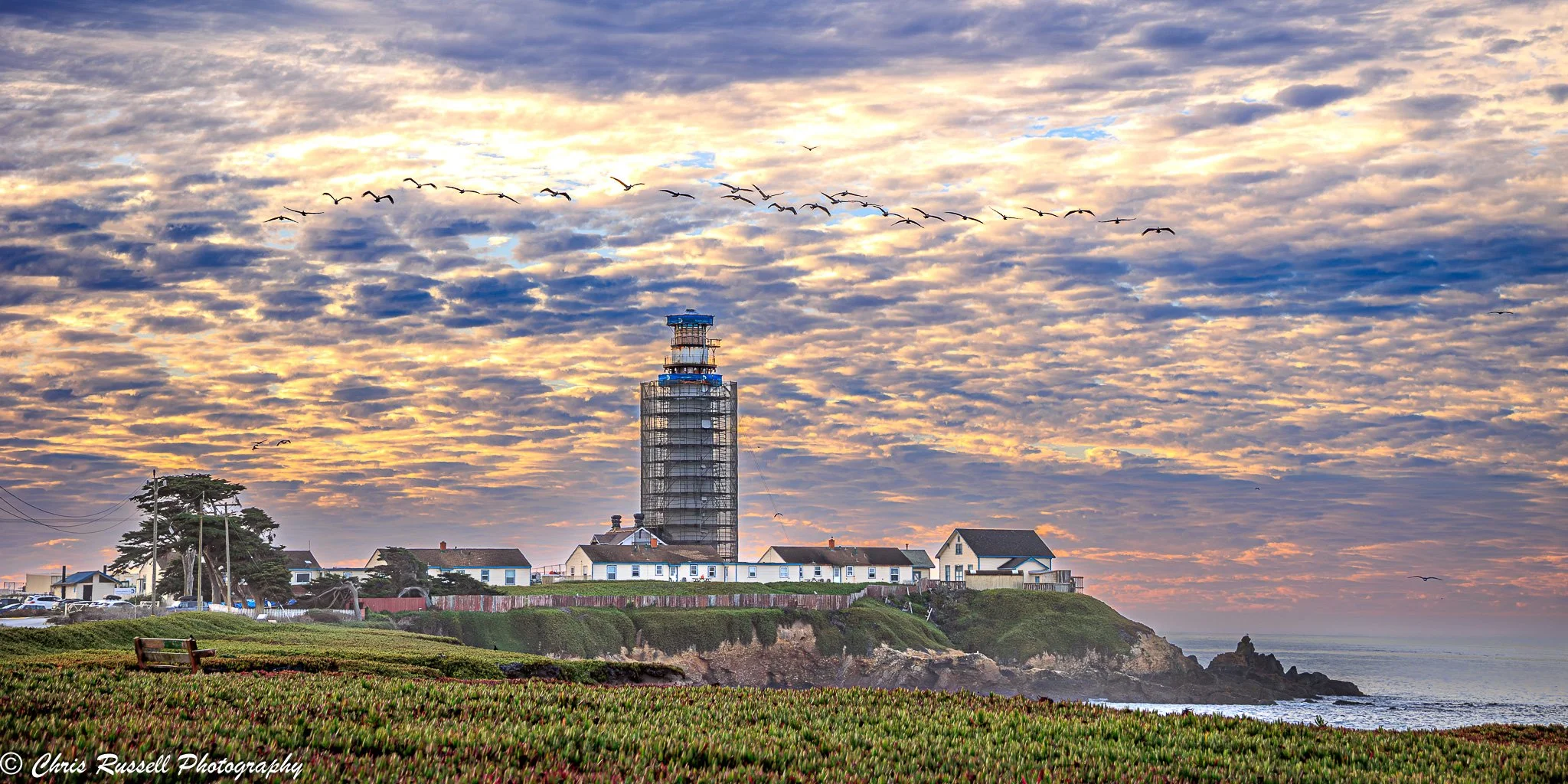 20241025_Pigeon Point_005.jpg
