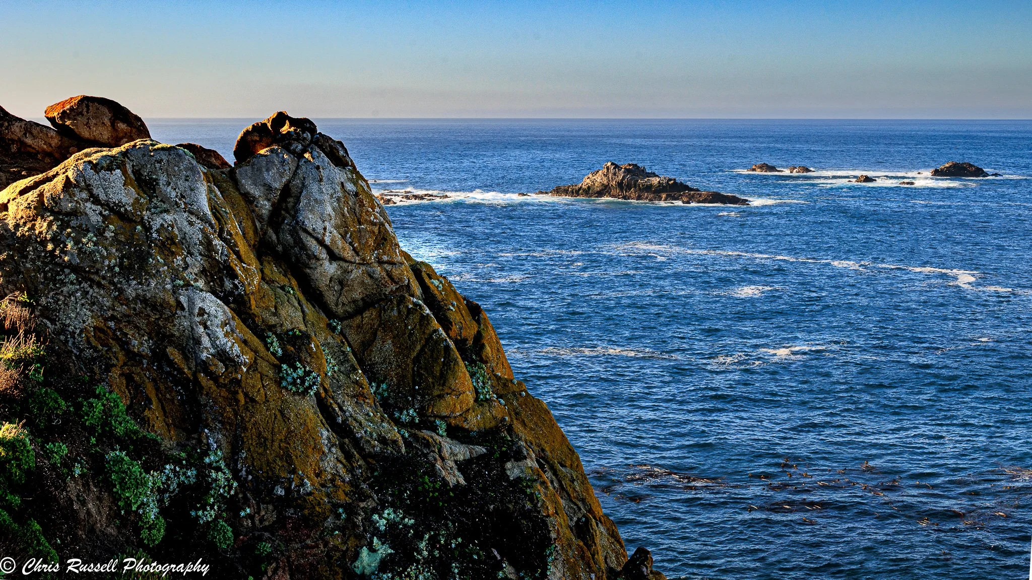 20260116_Point Lobos_012.jpg
