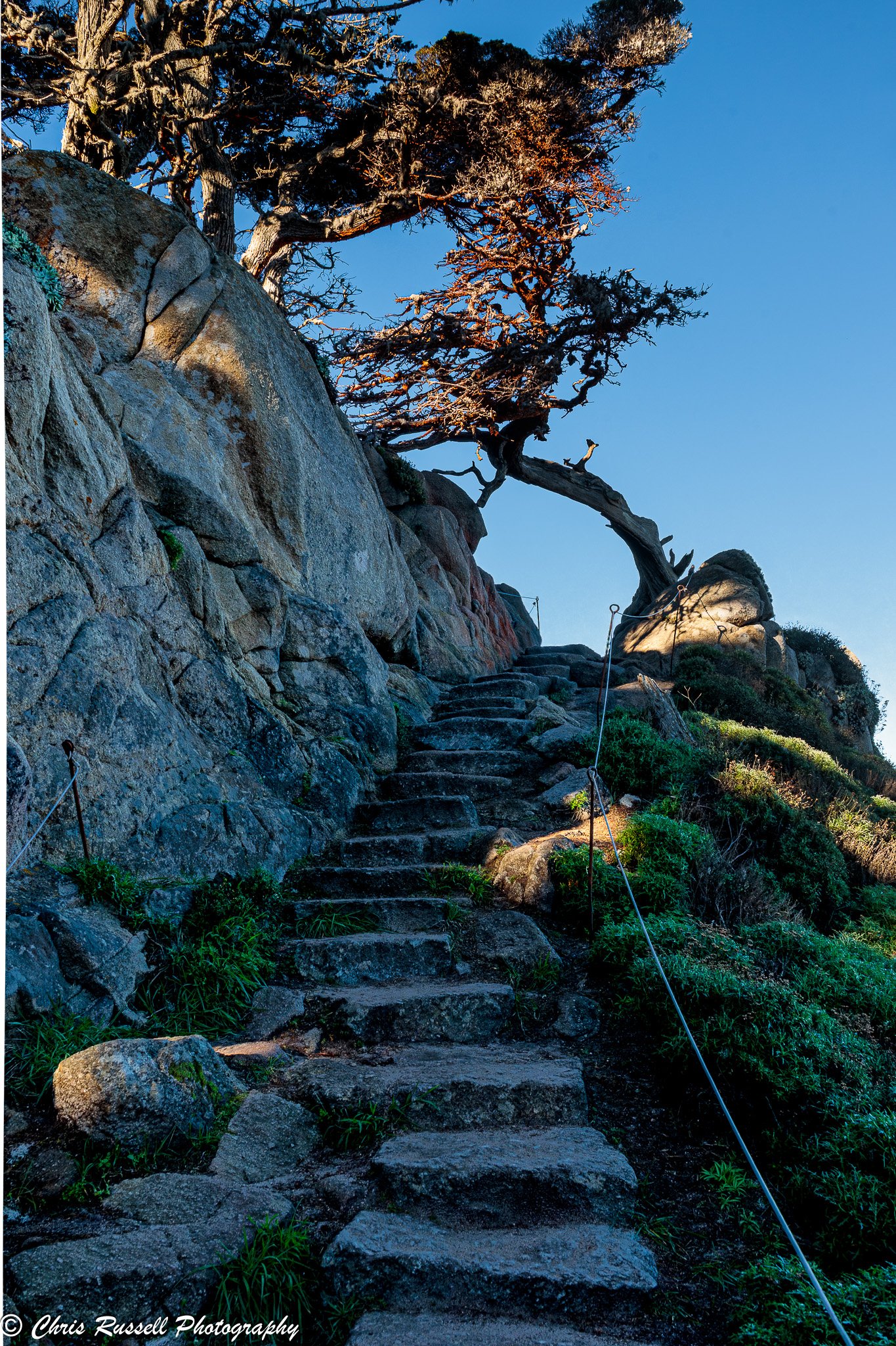 20260116_Point Lobos_019.jpg