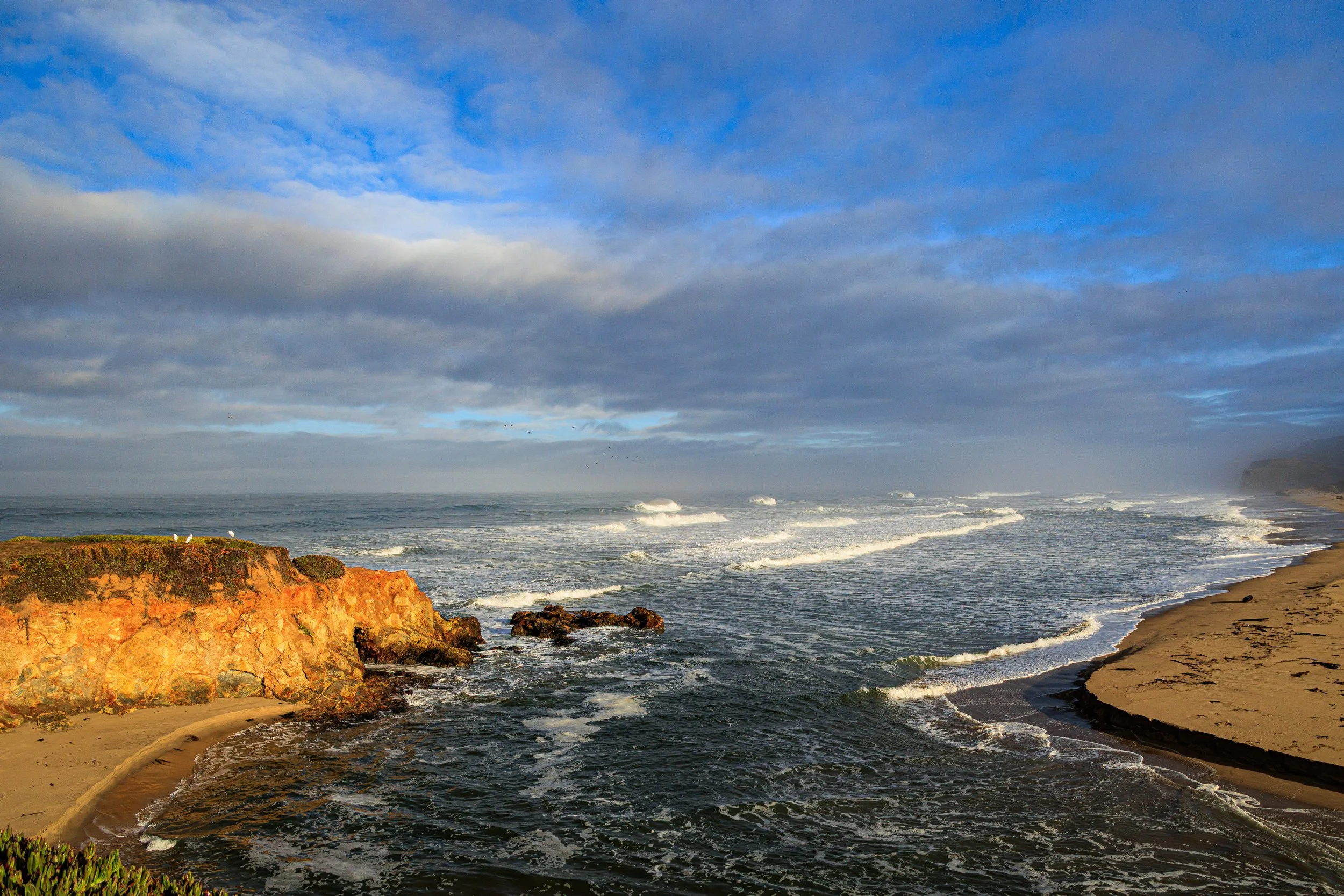 20251107_Pescadero State Beach_014.jpg