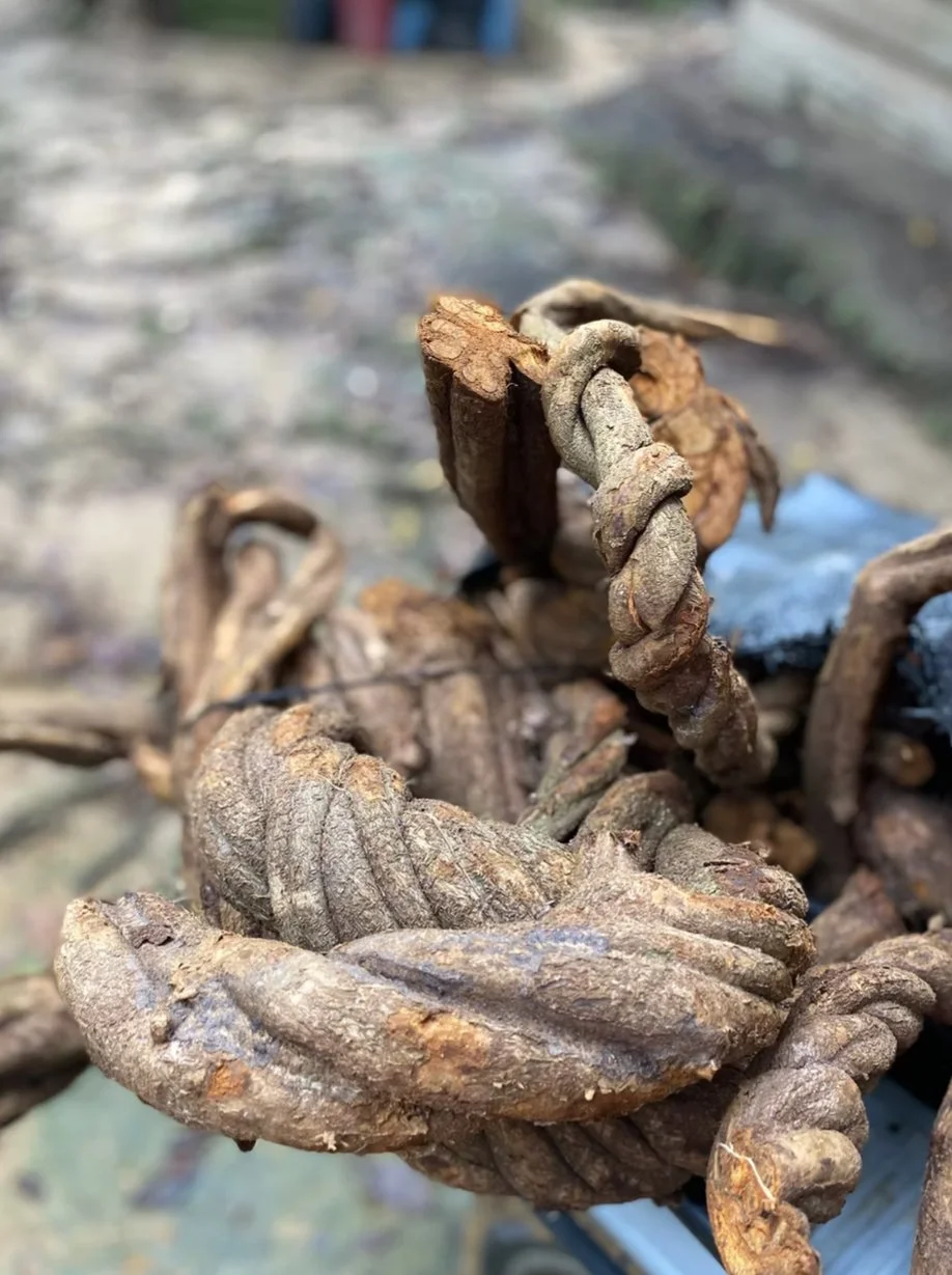 Book Your Own Dates Peru Ayahuasca Medicine Retreat