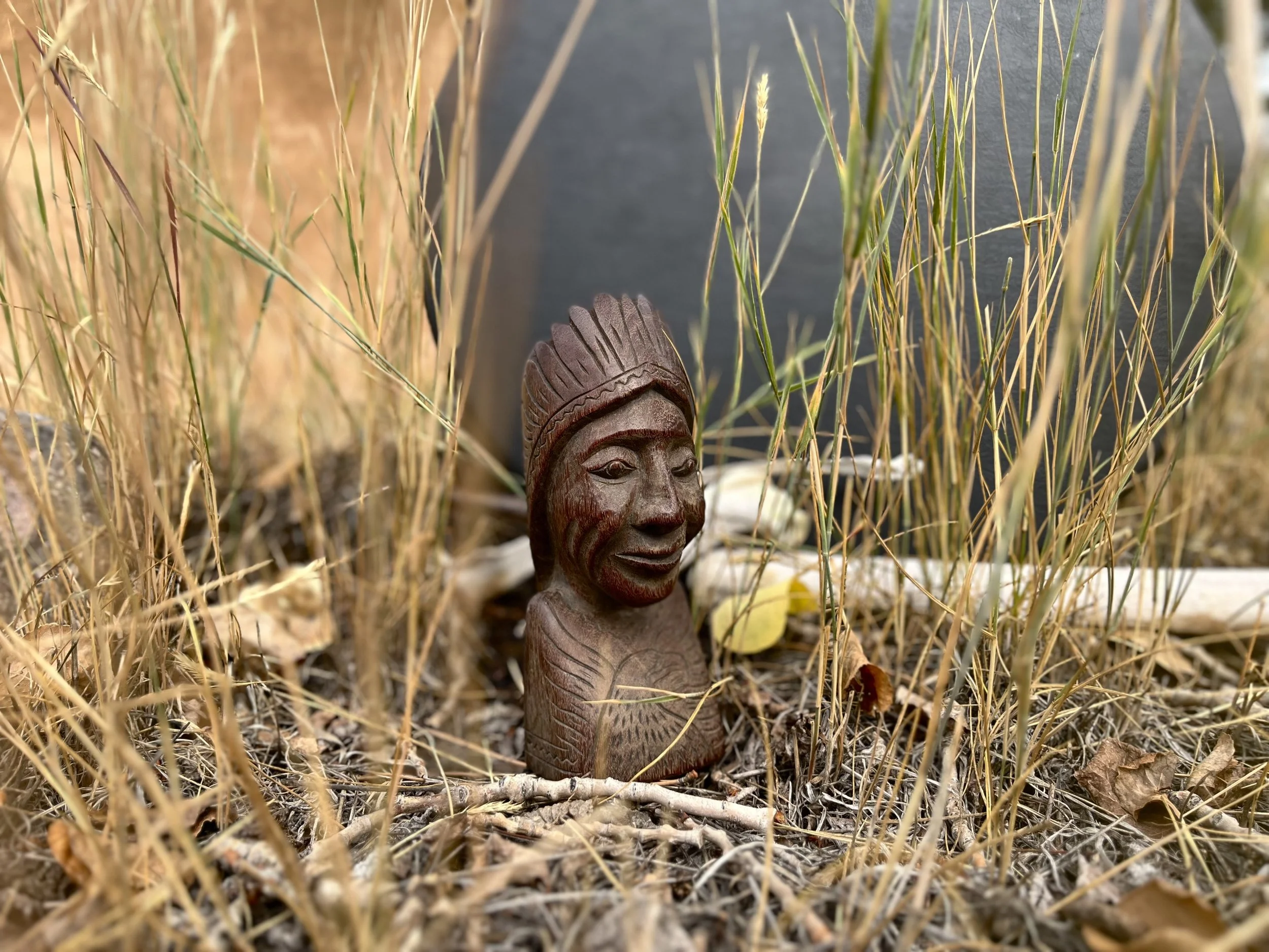 Wooden tribal figurine surrounded by dry grass and plants, with a dark background.