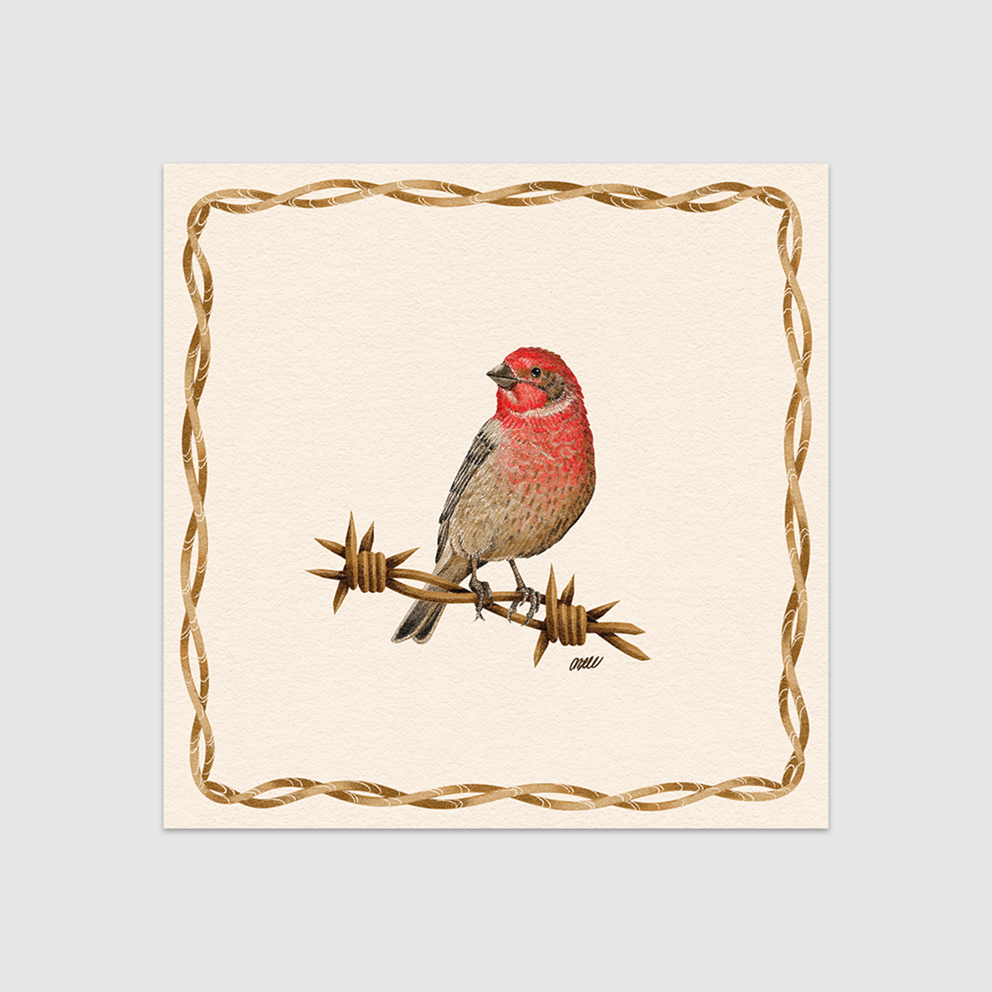 House Finch Print