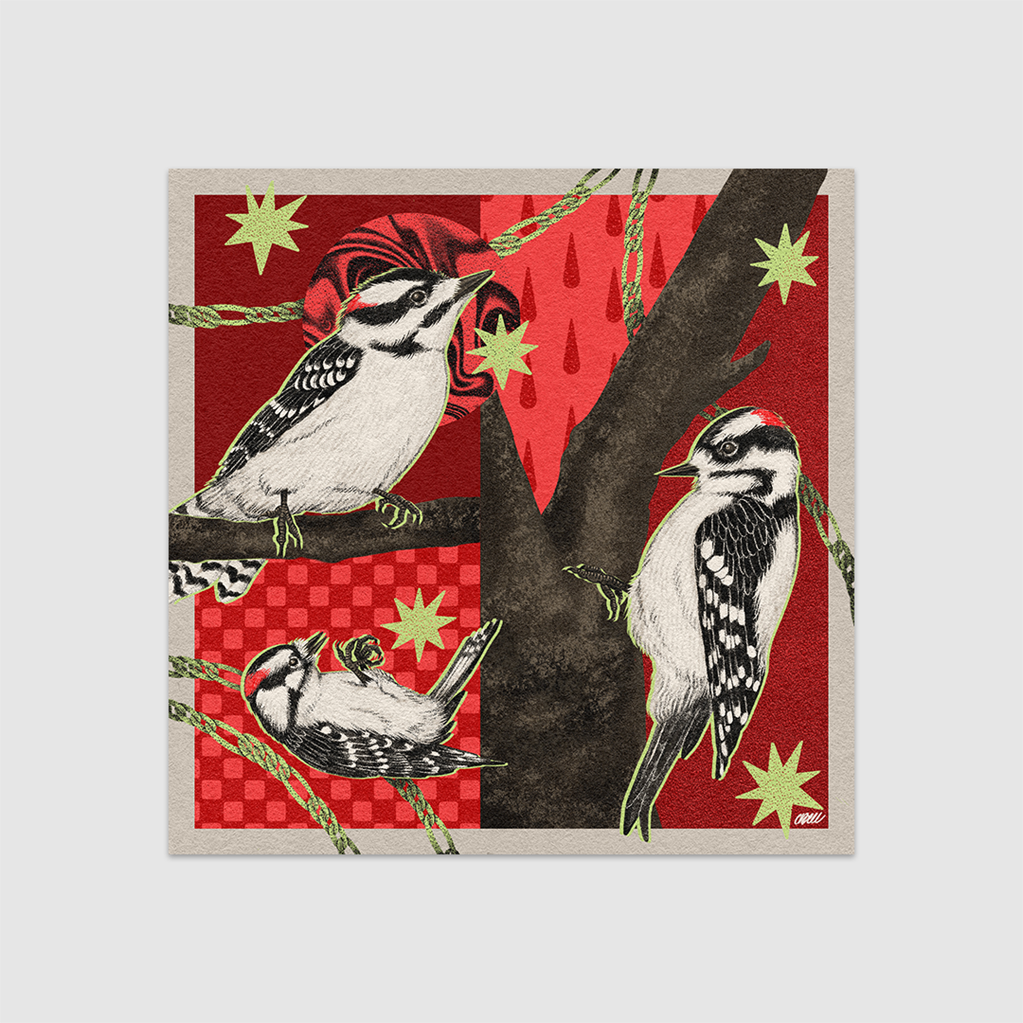 Downy Woodpecker Print