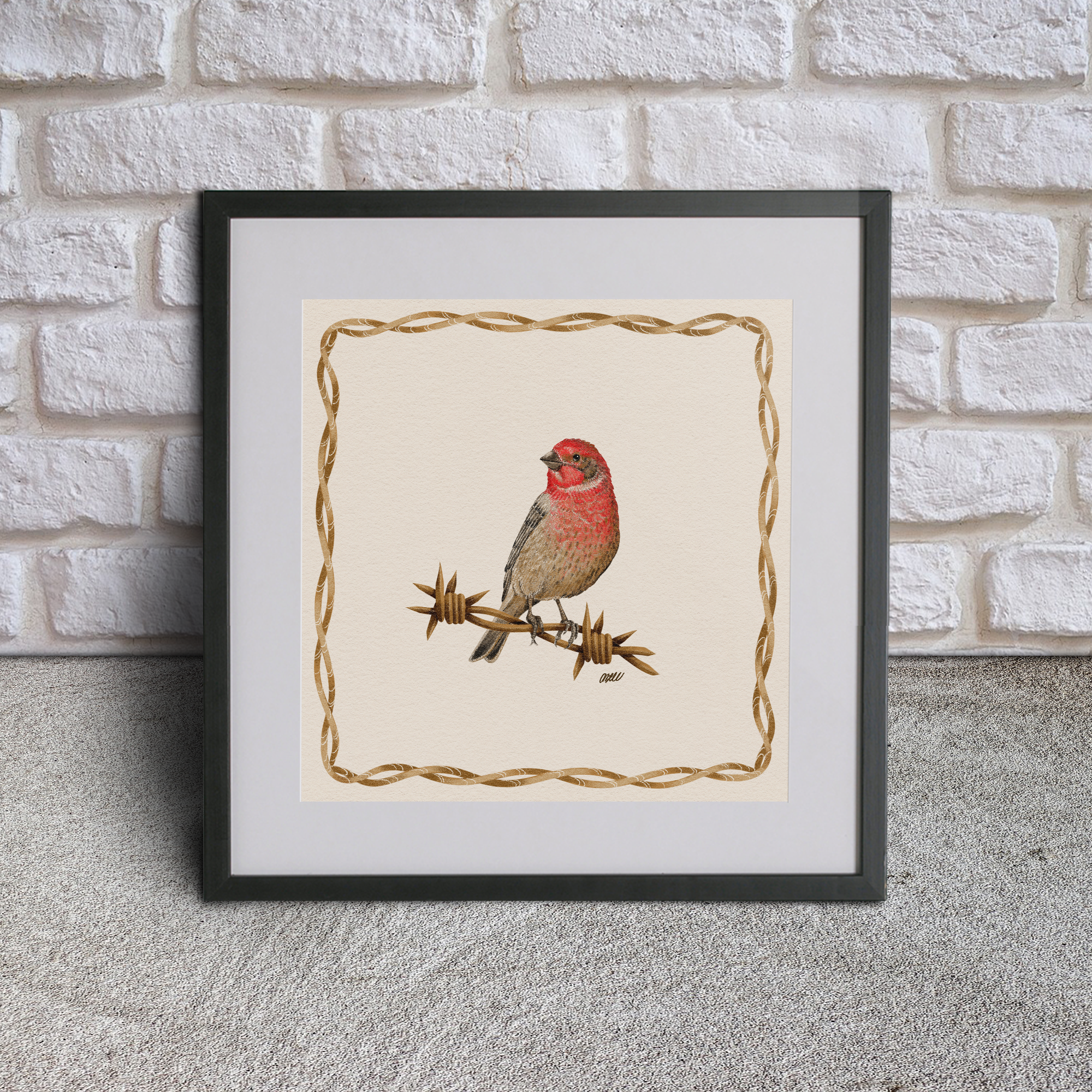 House Finch Frame.png