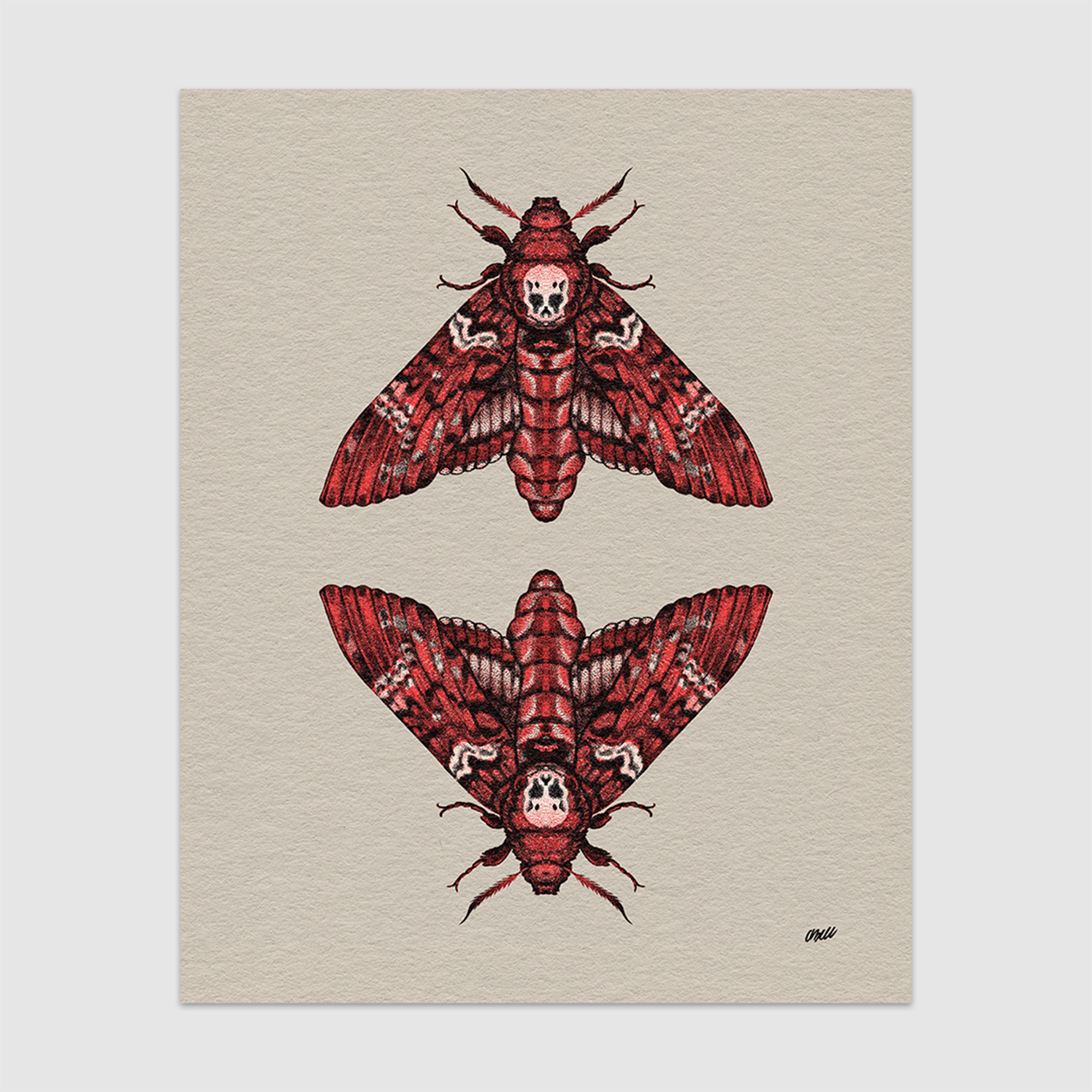 Deathhead Moth Print