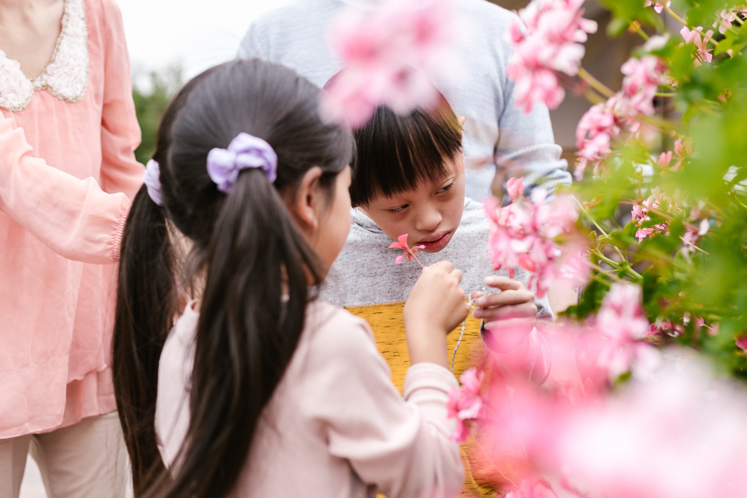 Helping Your Child with Transitions: Strategies for a Smoother Journey (Saturday)