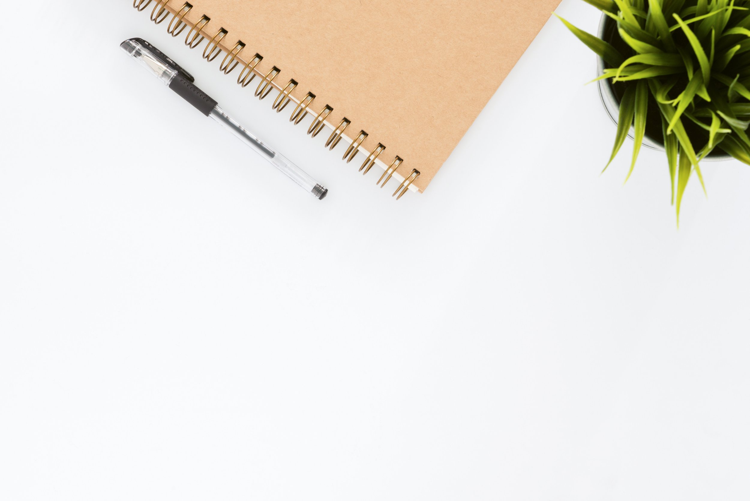 Preparing for Fall IEP Meetings: A Parent’s Guide (Thursday)