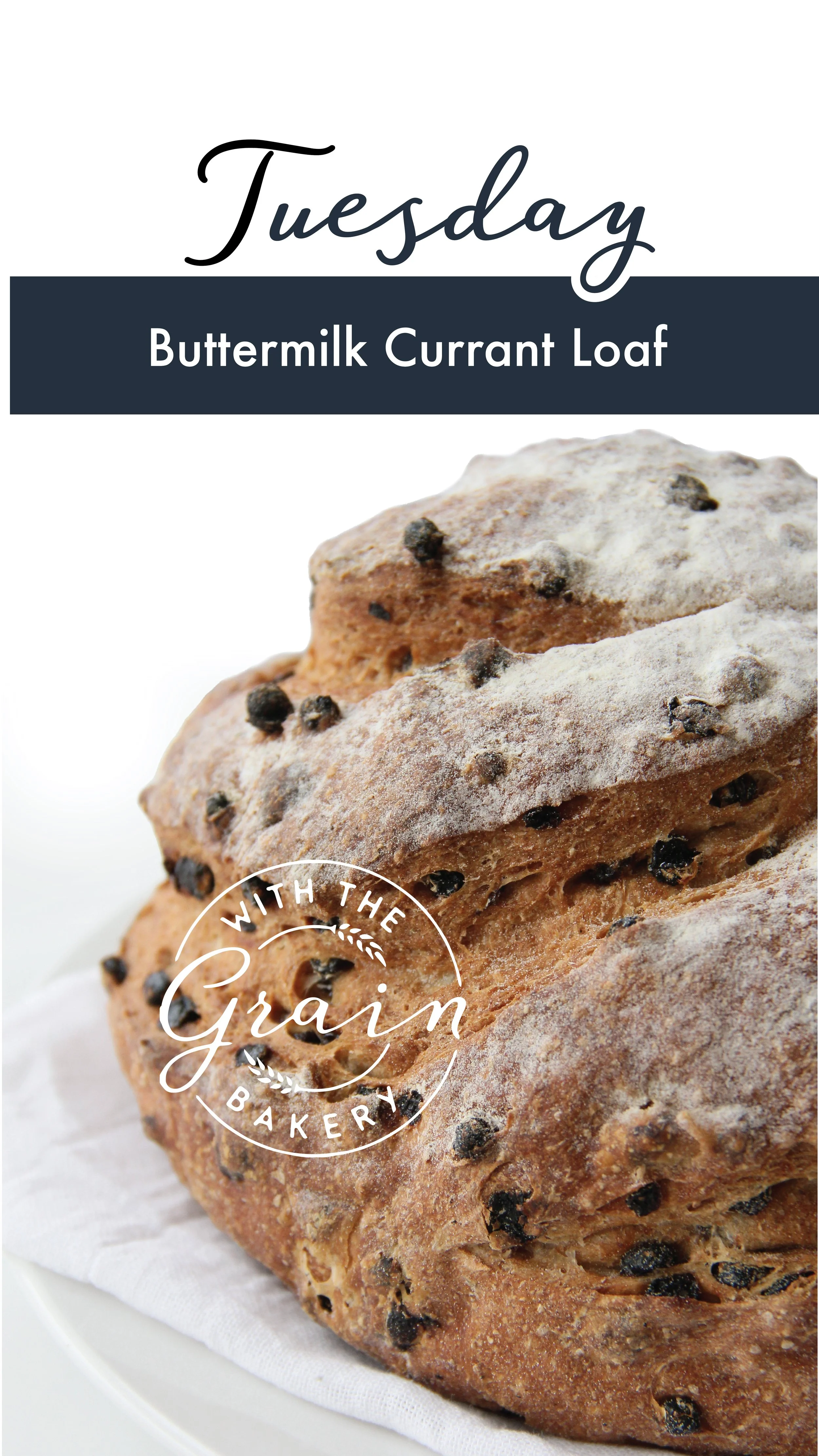 Tuesday_DailyFeatures_Buttermilk Currant.jpg