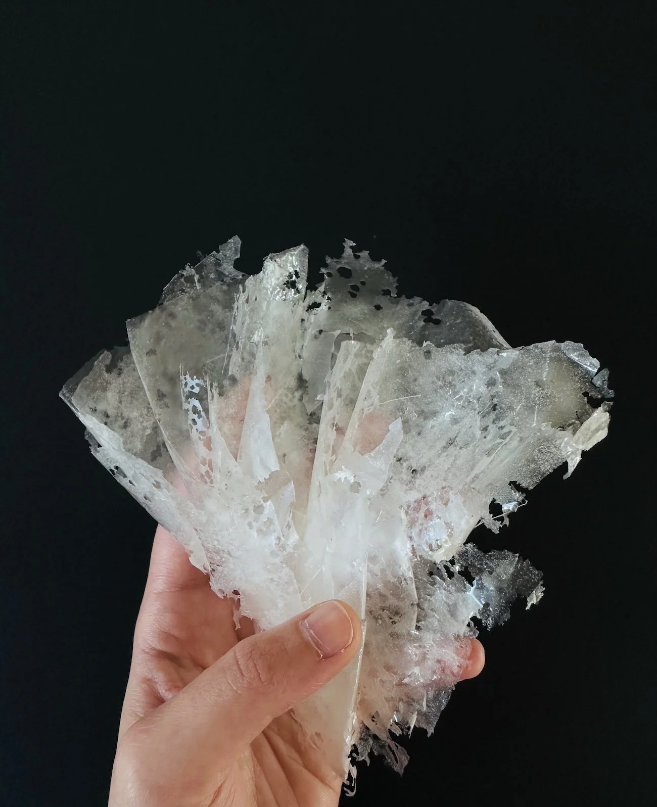 Aren’t you a sensitive soul? Vivian Qiu, 2023, photograph series of 2, photo paper, photo by Vivian Qiu
