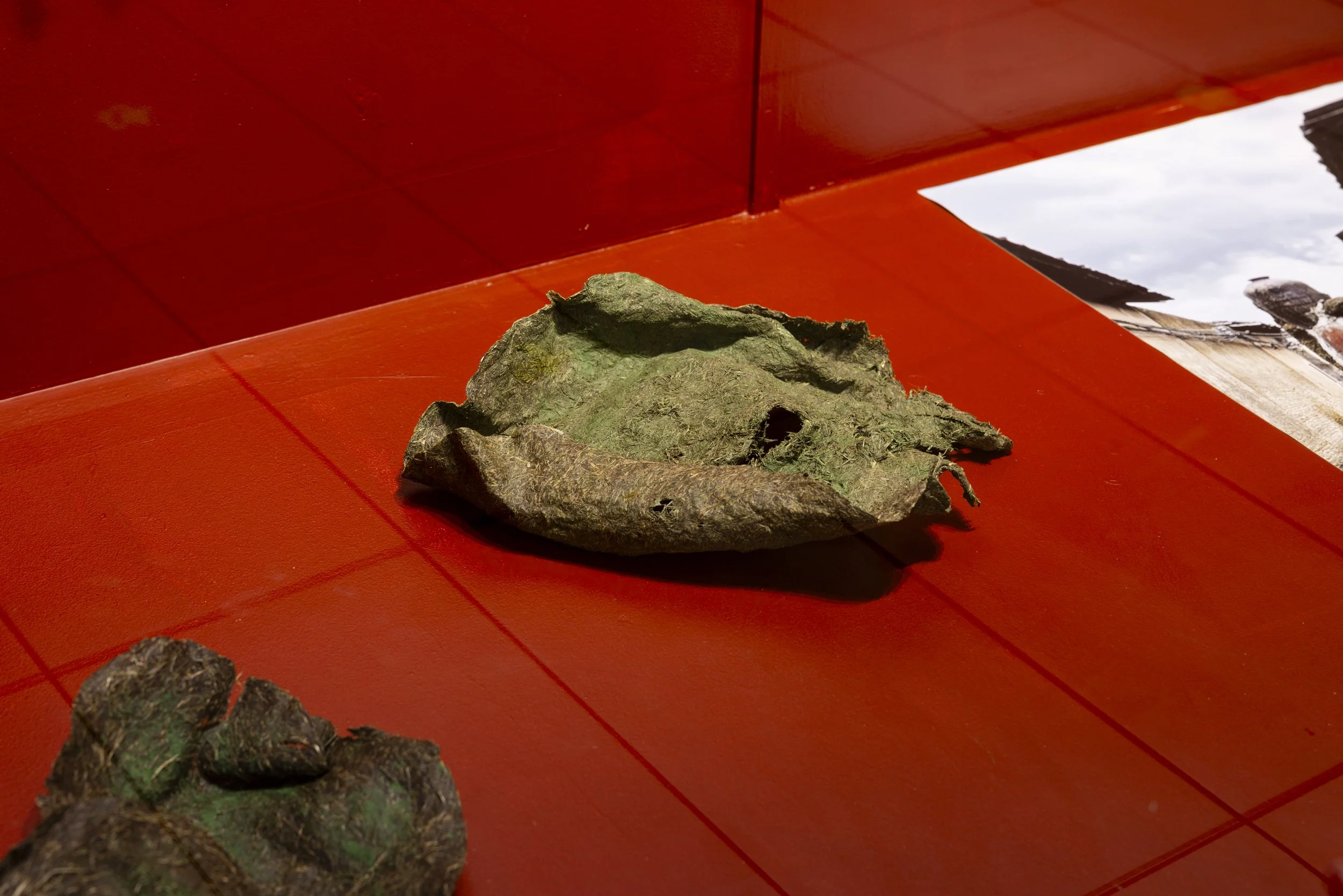 Memory, 2023, soil, grass, rice.