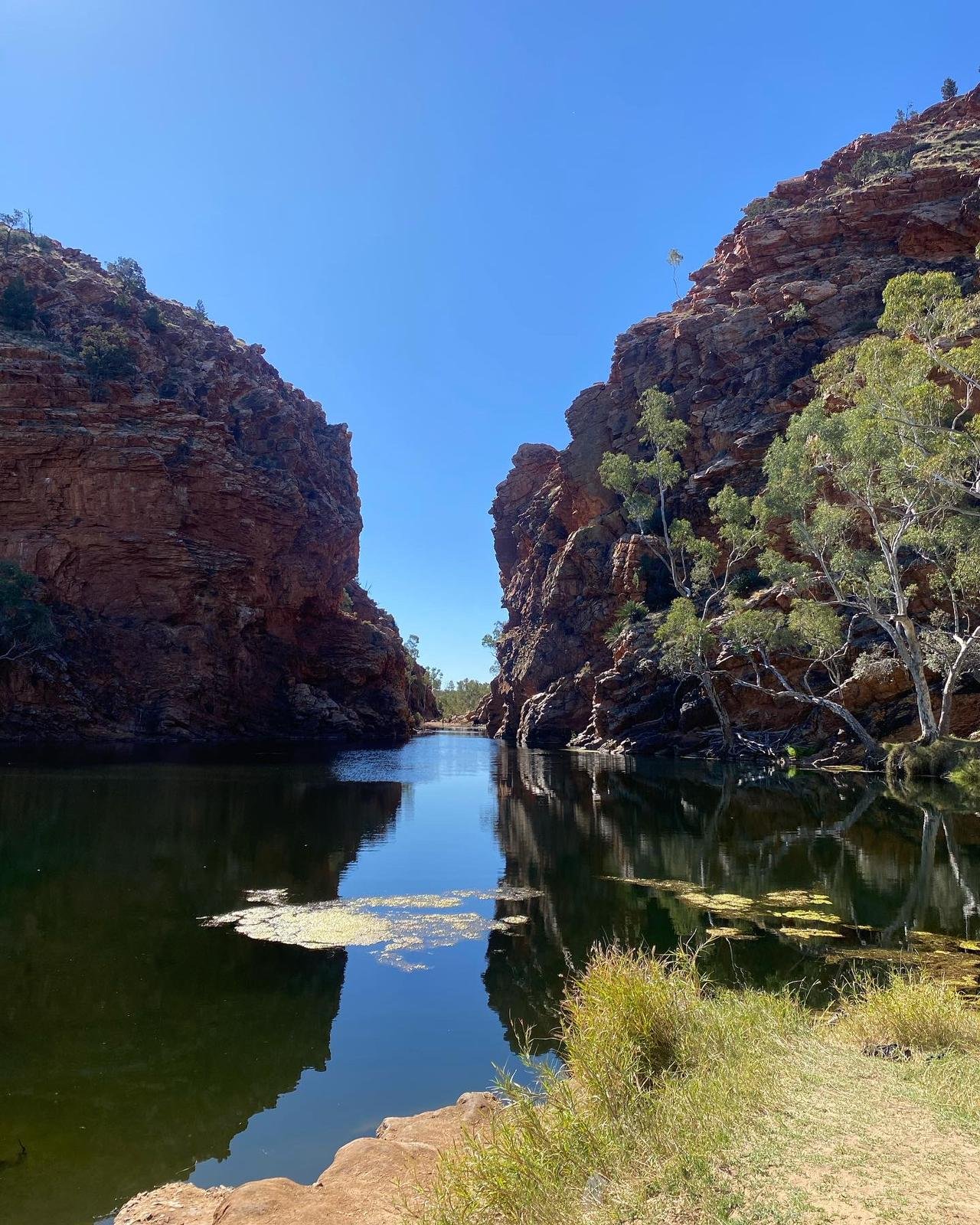 Alice Springs 16.jpg