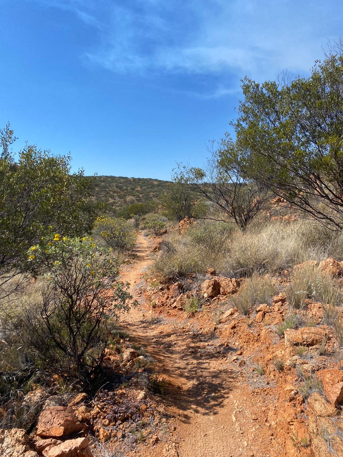 Alice Springs 17.jpg