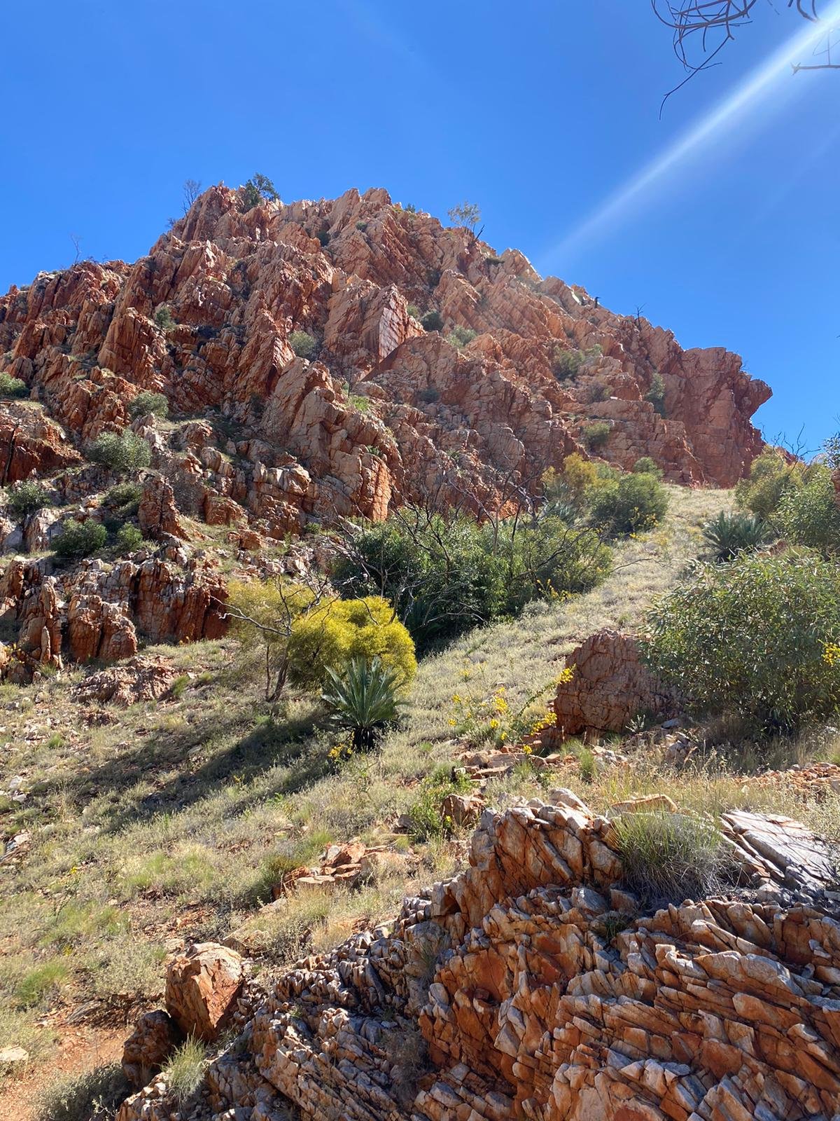Alice Springs 18.jpg
