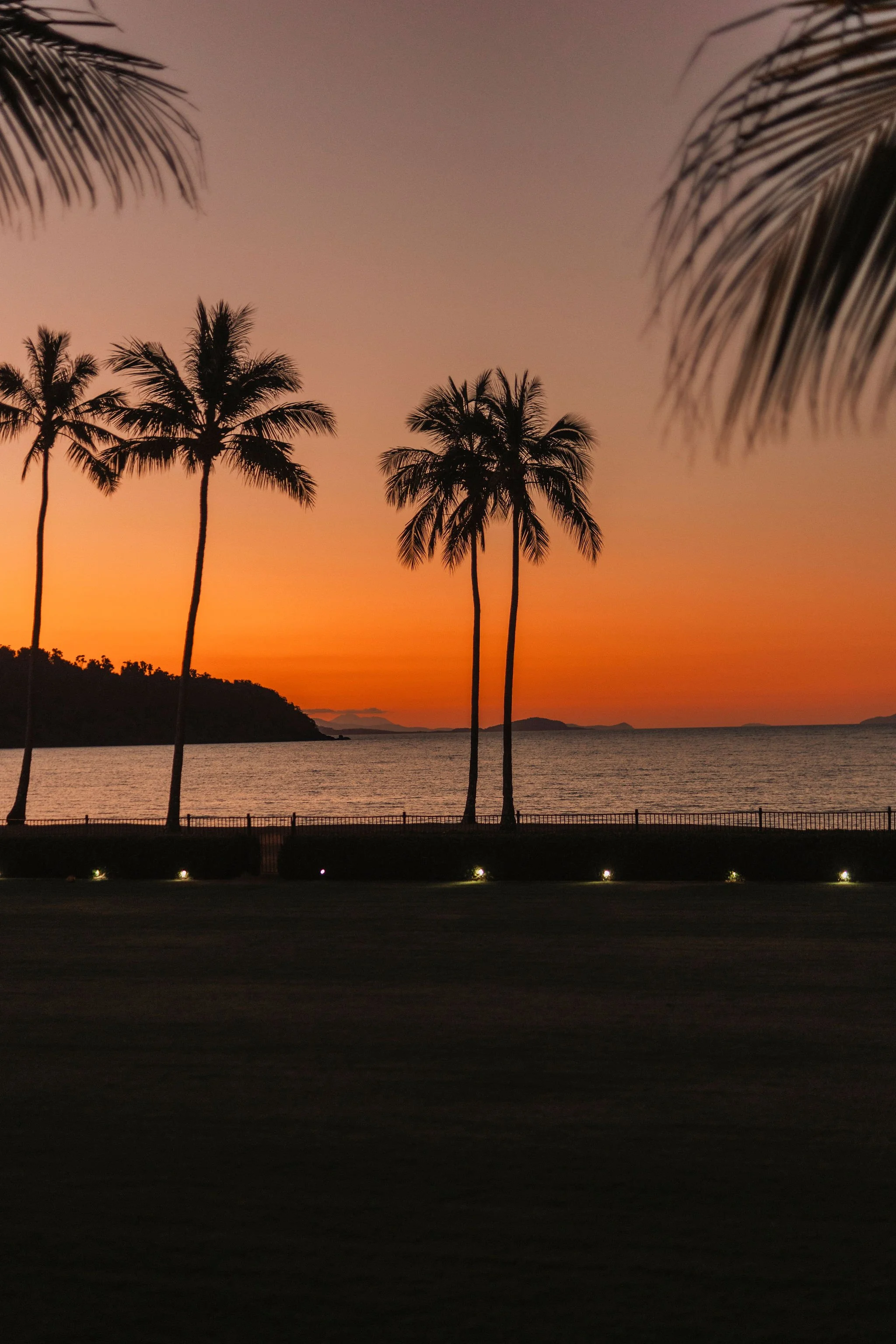Yangaro_Whitsundays_RoseGraceStudio_web (376).jpg