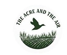 Trail Camera videos - YouTube