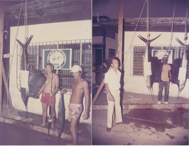 sibt_3old-768x594.jpg