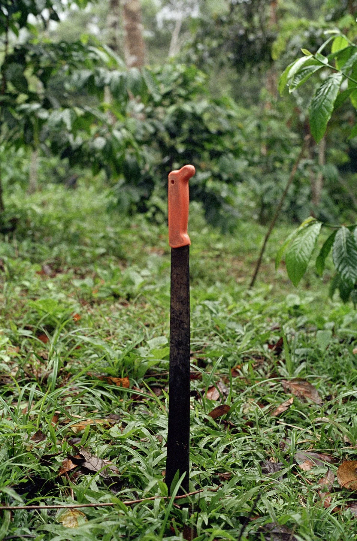JA-05.jpg