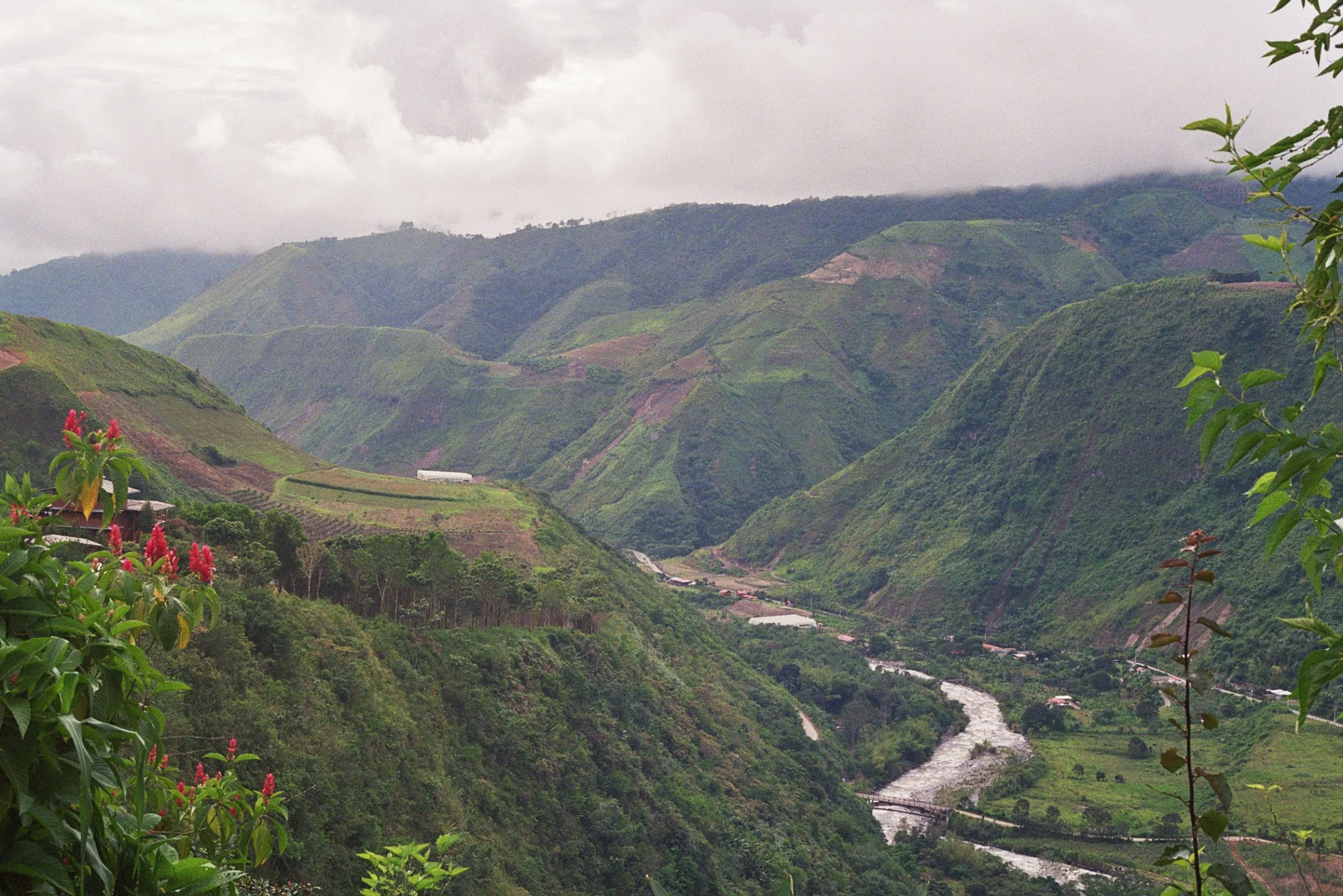 00053_12A copy 3.jpg