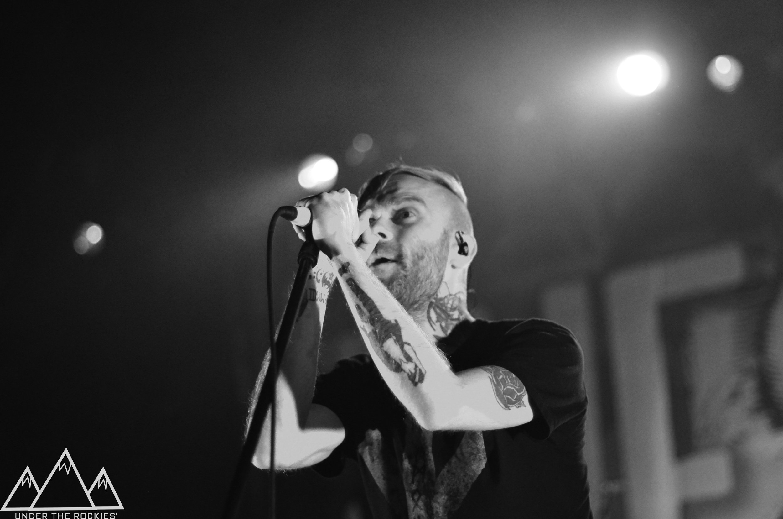 The Used