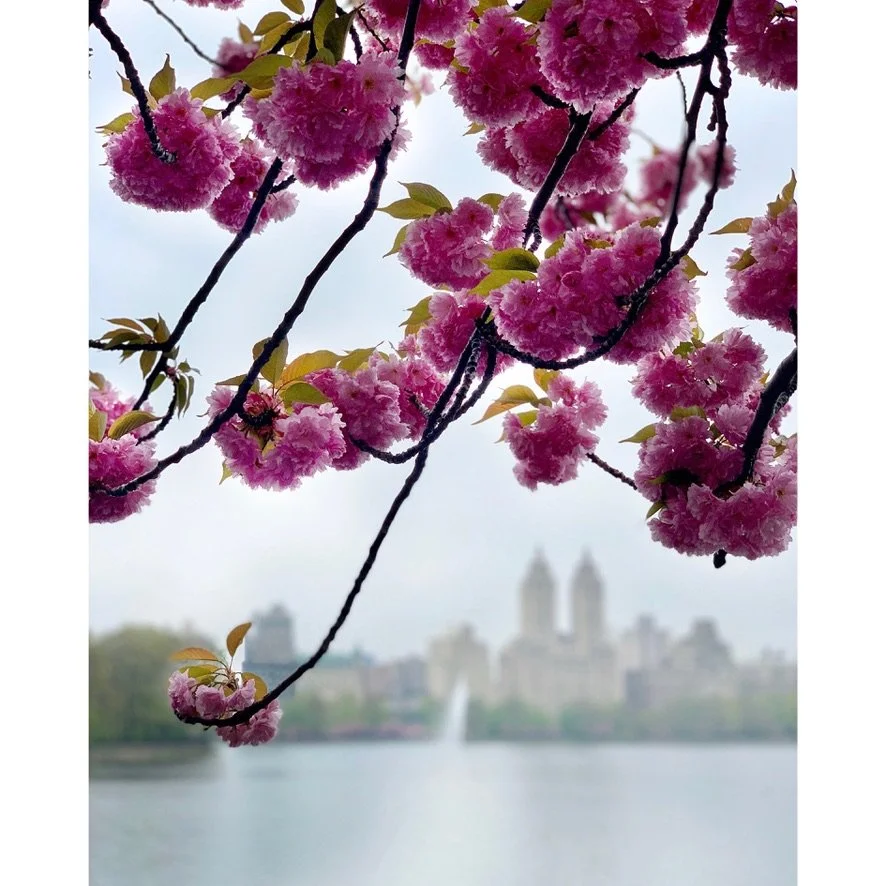 Pathways of Detoxification