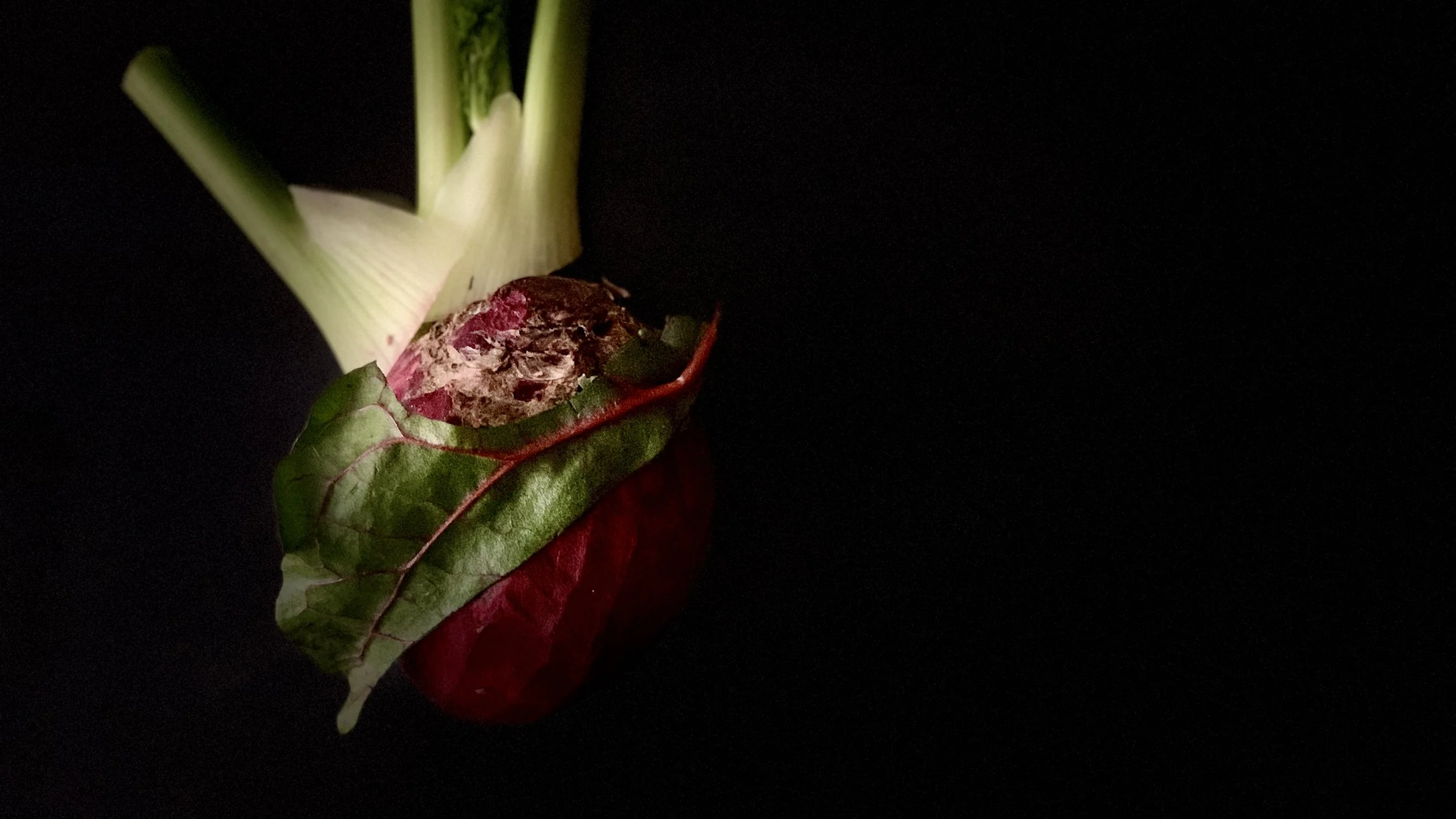 4,000 Beats per Hour