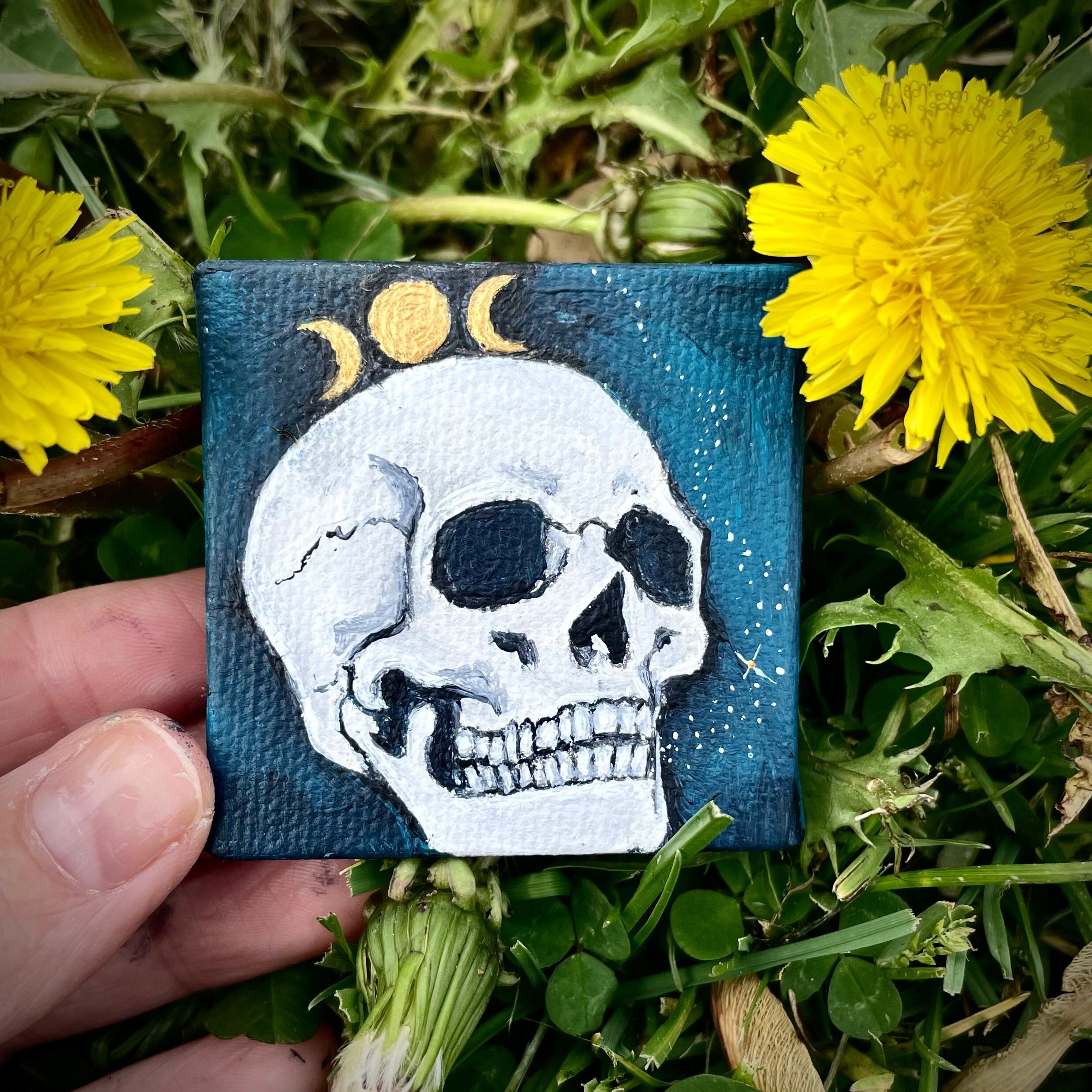 https://i.etsystatic.com/14871636/r/il/91e91d/3138249803/il_fullxfull.3138249803_fmqv.jpg