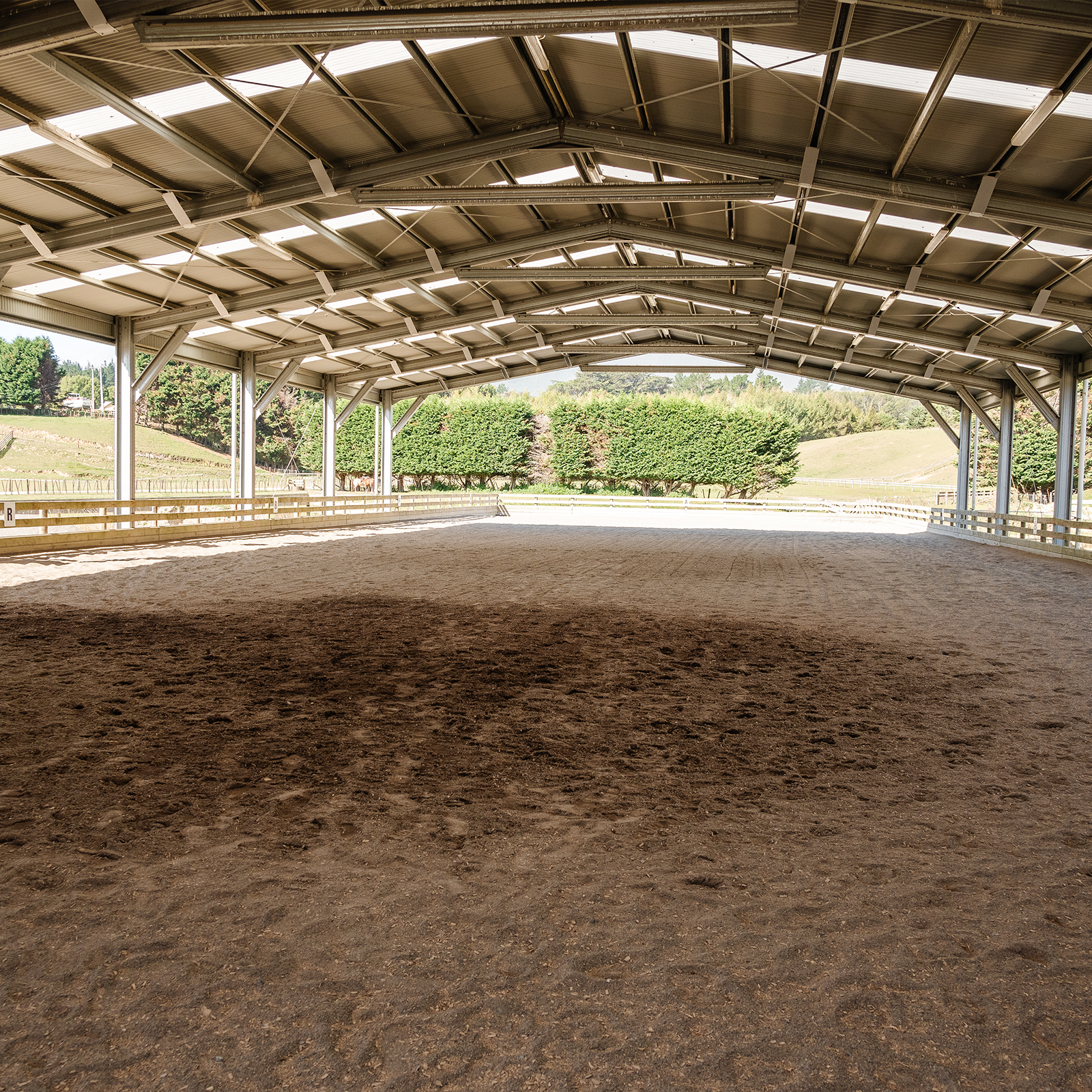 60 x 20 meter floodlight indoor Dressage arena