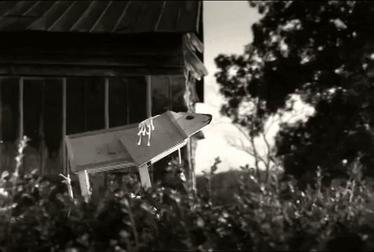 ezgif.com-gif-maker (35).gif