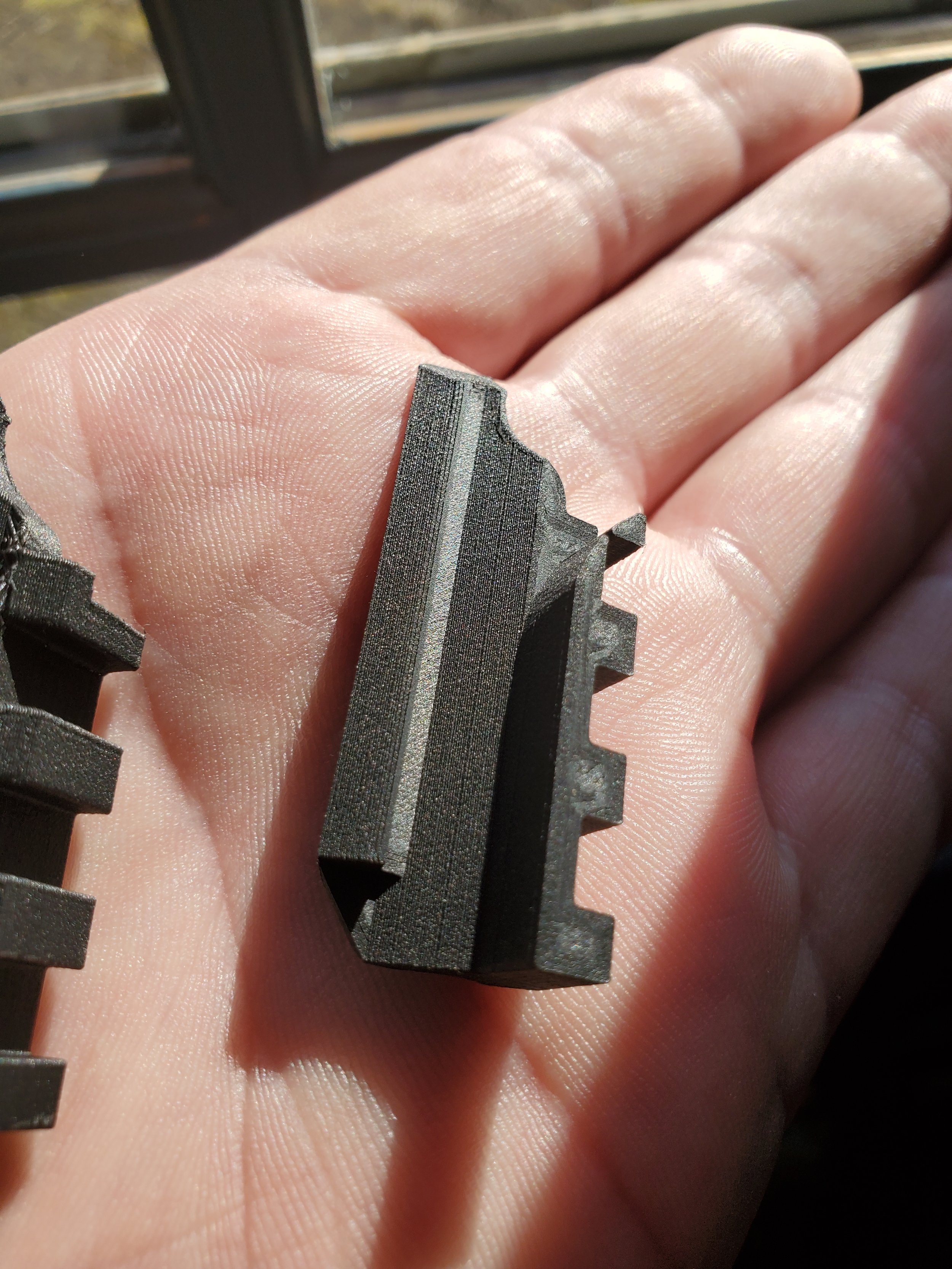 Carbon Fiber P365 Rail.jpg