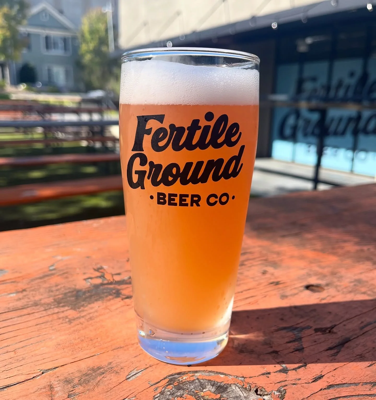 🚨Small Batch Release!📣 This Lemongrass Raspberry Gose (German sour) is now on tap! 

It&rsquo;s fruity, tart and crisp and perfect for this sunny weather! Come grab a pint today! 🍻