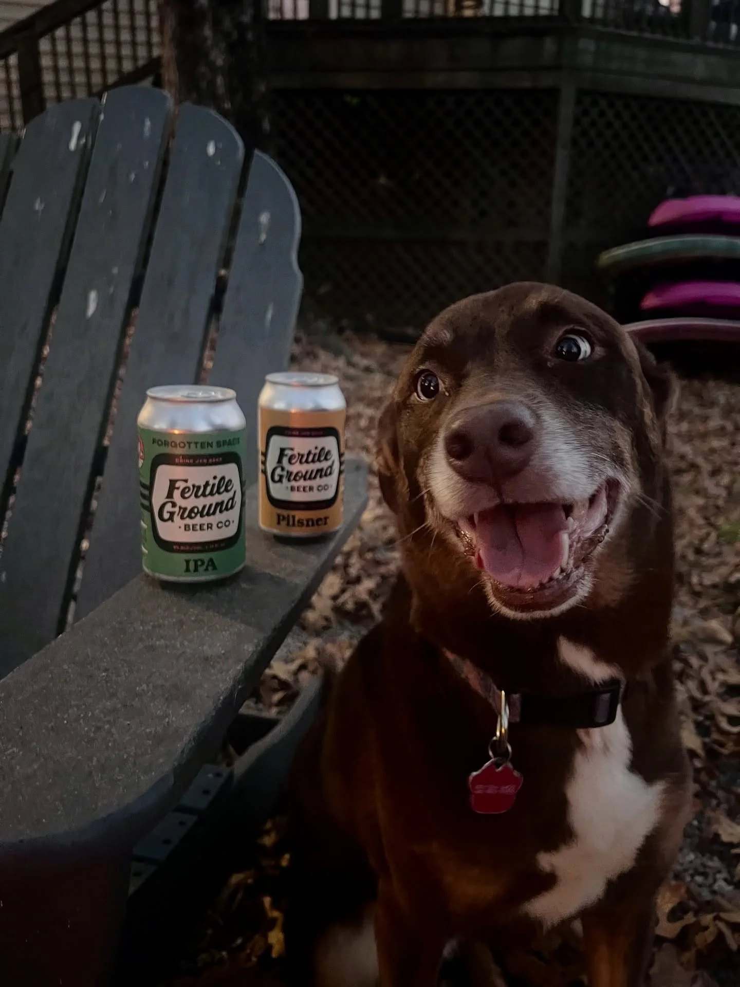 Beer and a dog, that&rsquo;s the post. Cheers to the weekend!