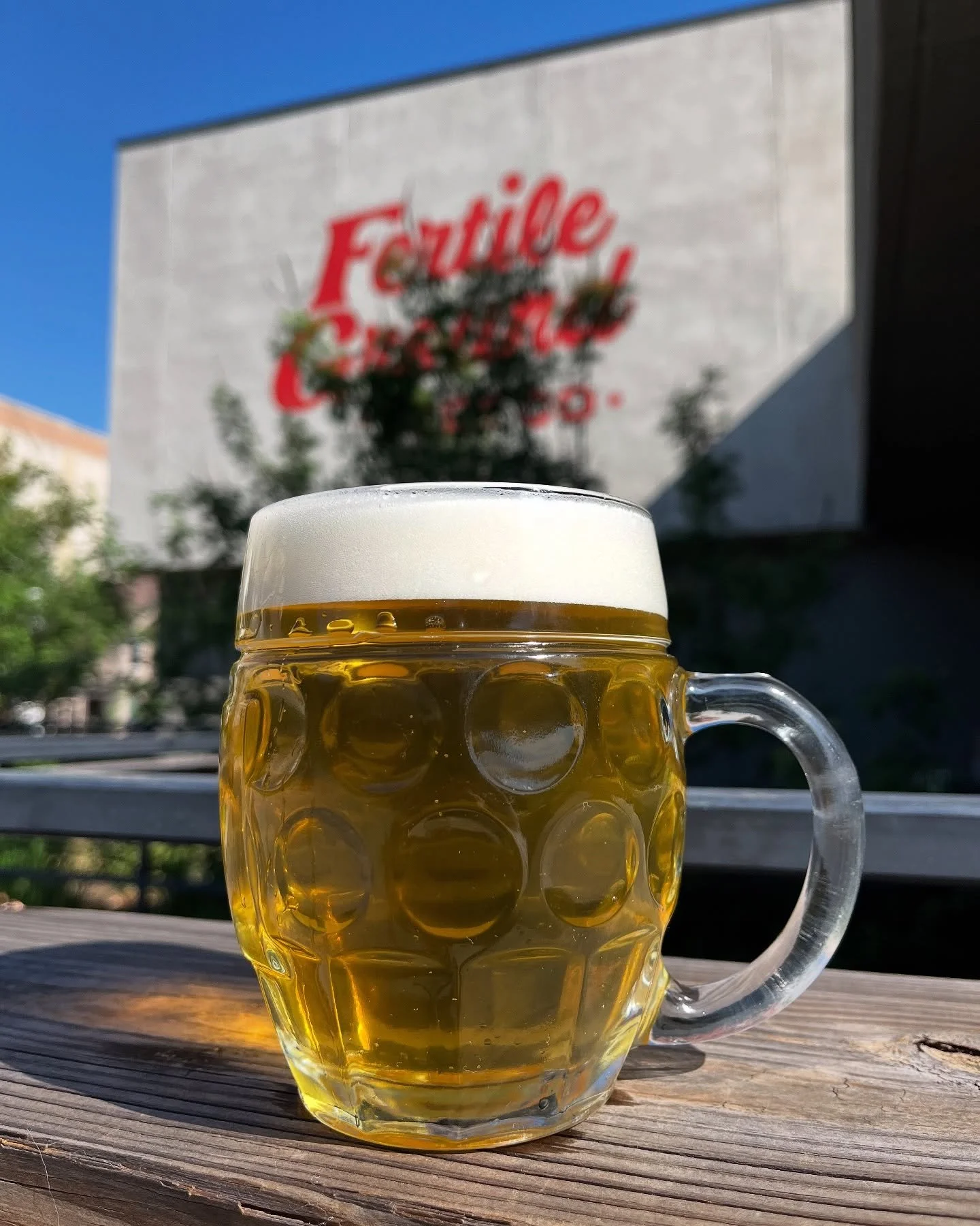 It&rsquo;s a beautiful day for $4 pints of Pilsner and Lingering Leed in the taproom! Swing by for these beer specials today and kick off the holidays a little early.