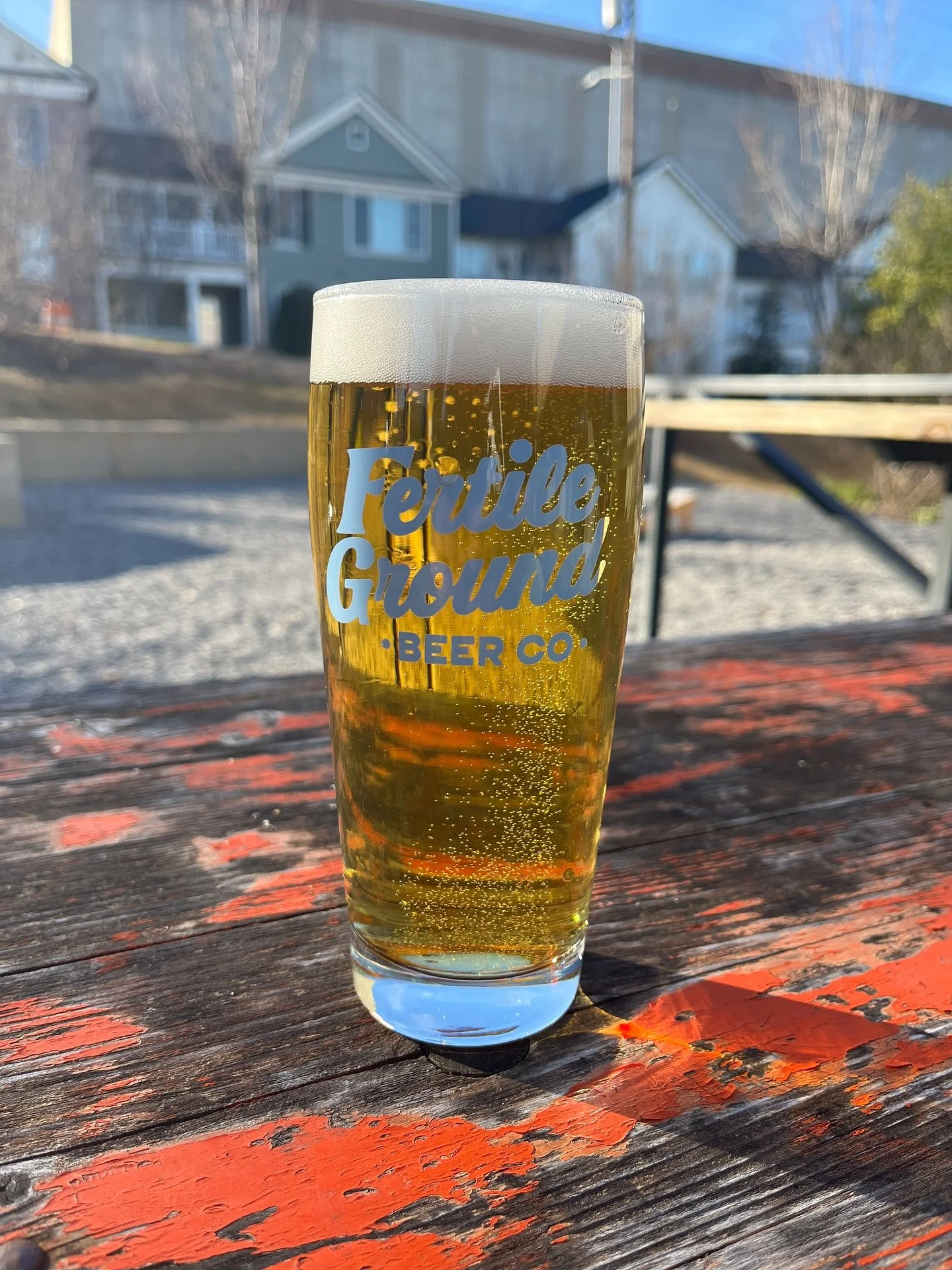 Get in the Christmas spirit with $4 pints of FG Pilsner and Lingering Leed Lager today! 🍻 Knock off work early and come enjoy some locally made crispy beers. 

PLUS stock up for the holidays! Now through December 31 get 25% OFF all to-go beer instan